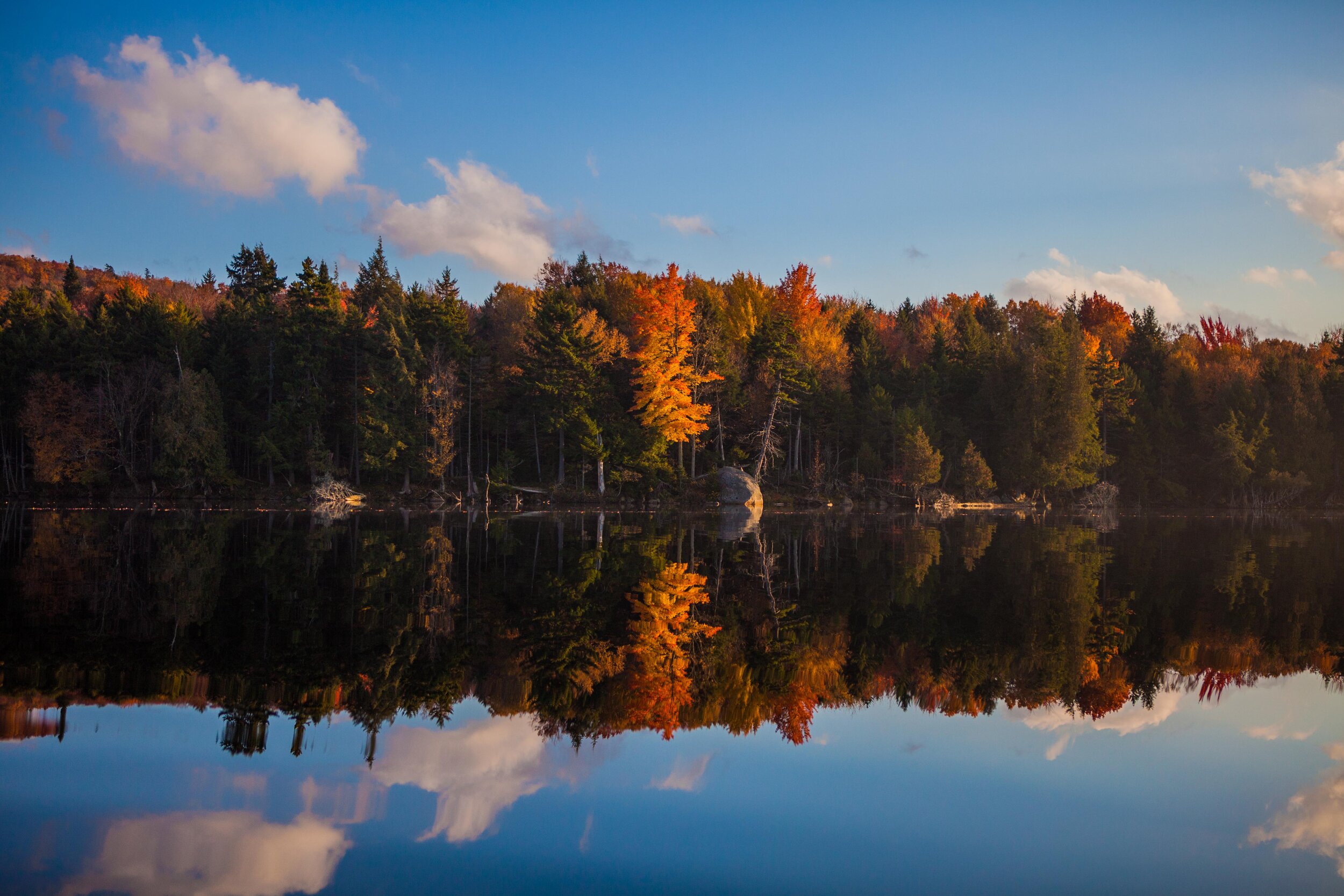 Fall on the lake.jpg