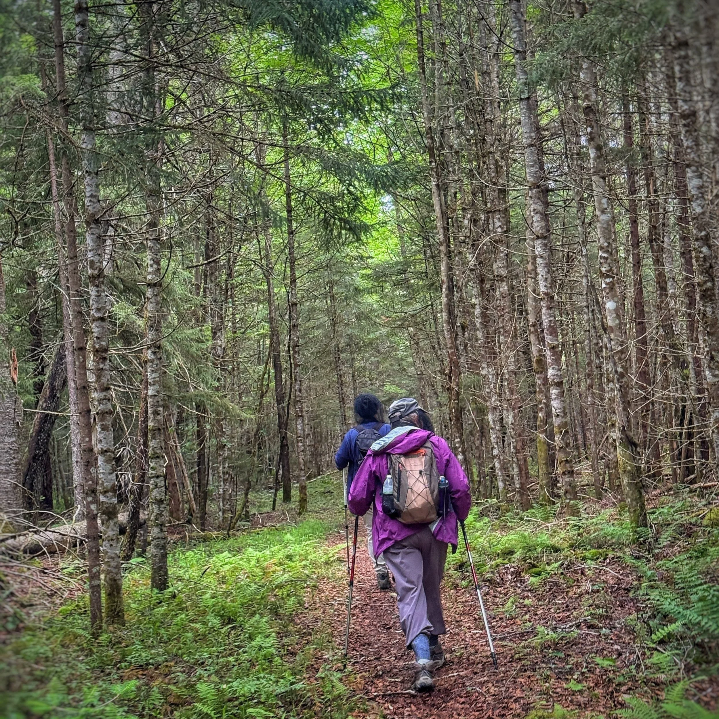 Women in the Woods