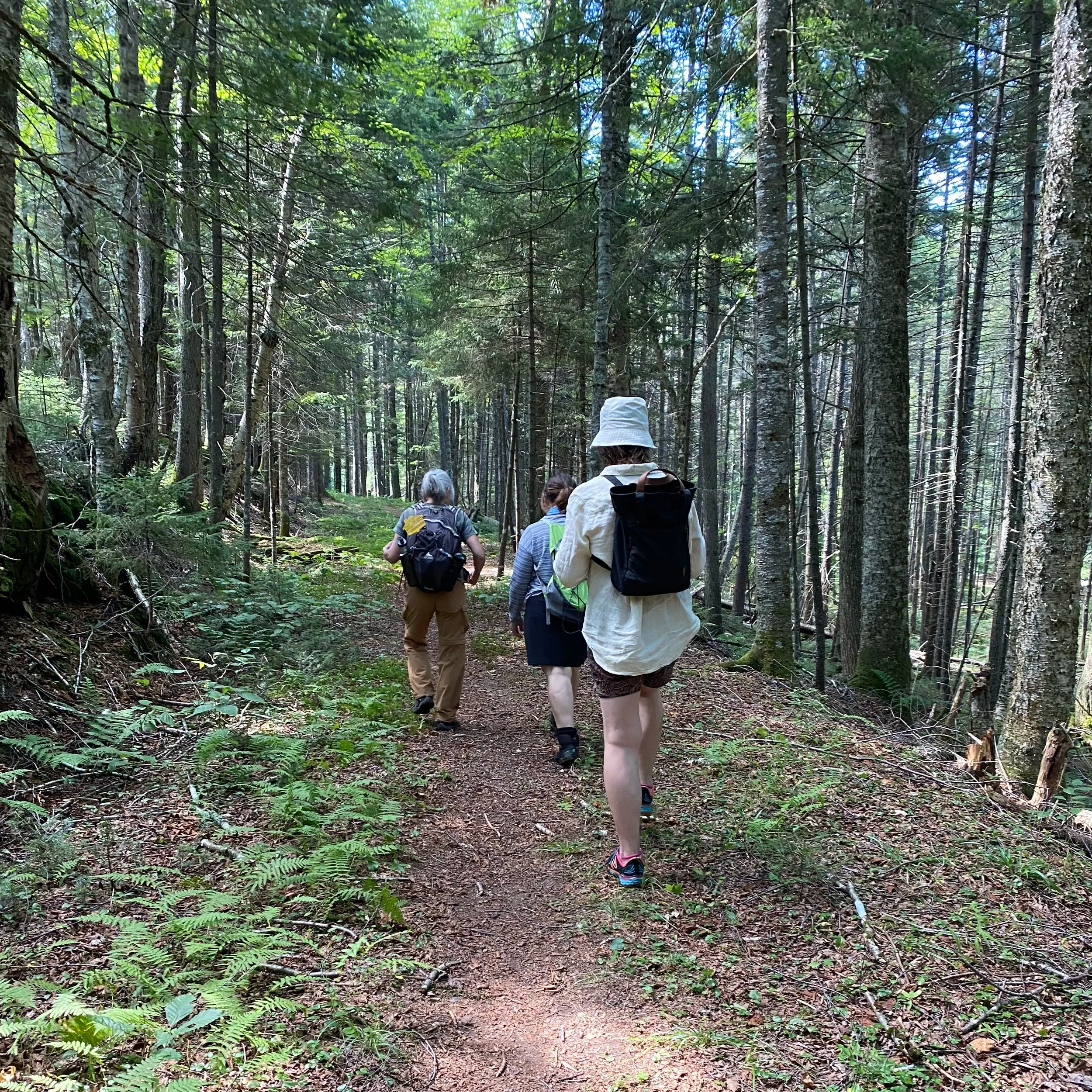 Women+Hiking.png