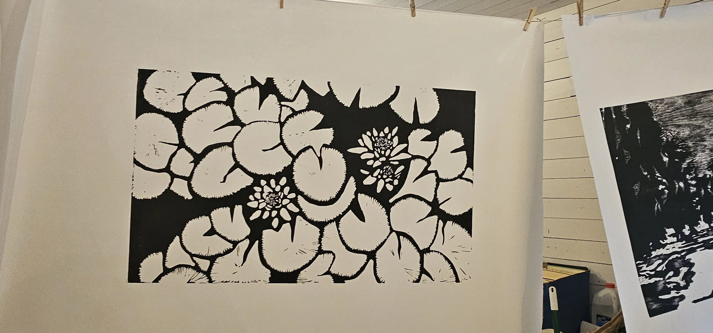 Waterlilyprint.jpg