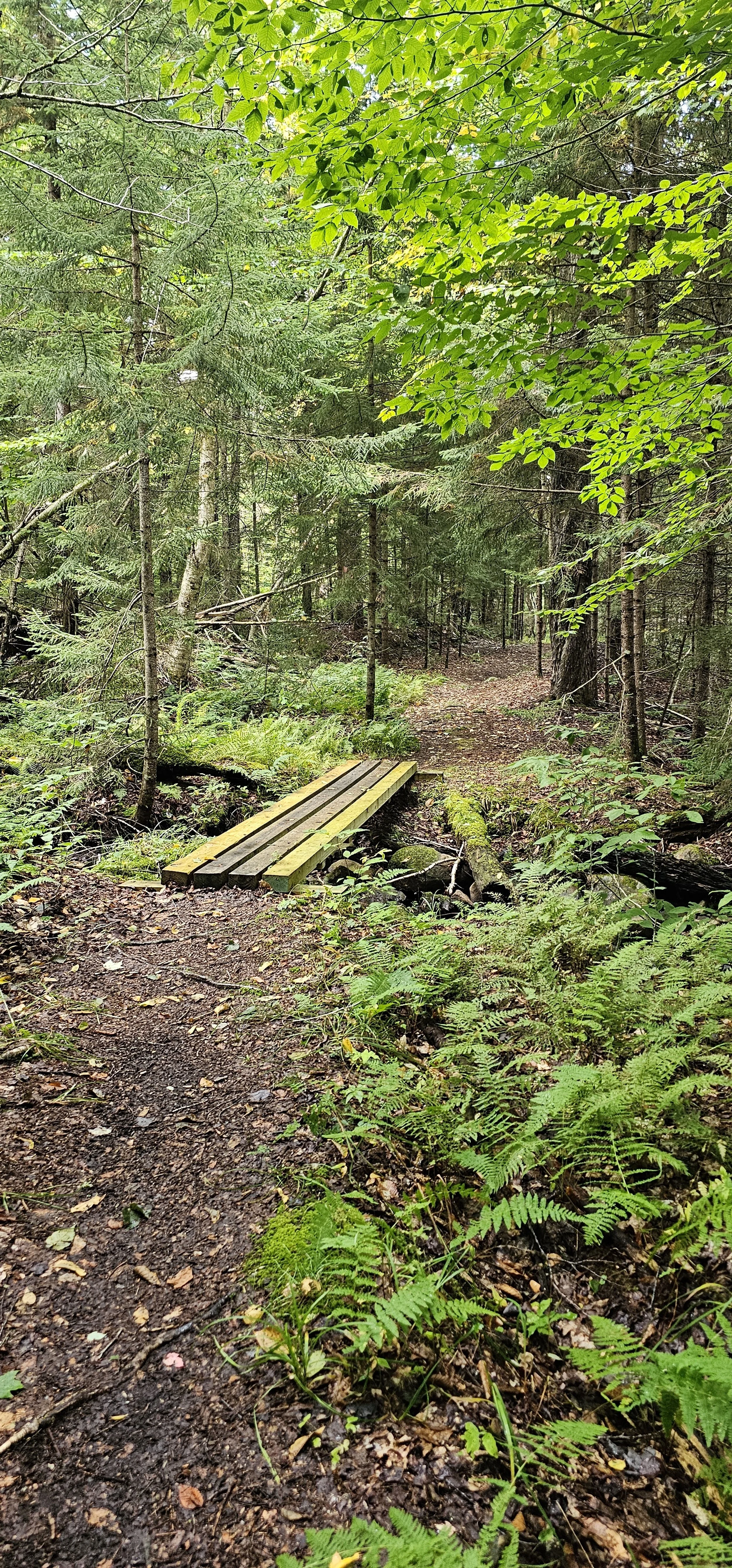 Trailwise Women: Backcountry Basics 101 (NYS DEC “Becoming an Outdoors-Woman” Partner Program)