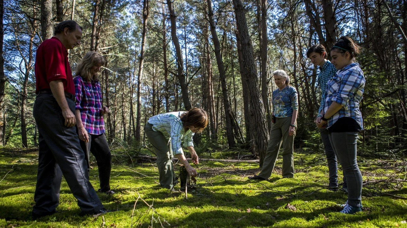Forest Bathing Weekend — Great Camp Sagamore