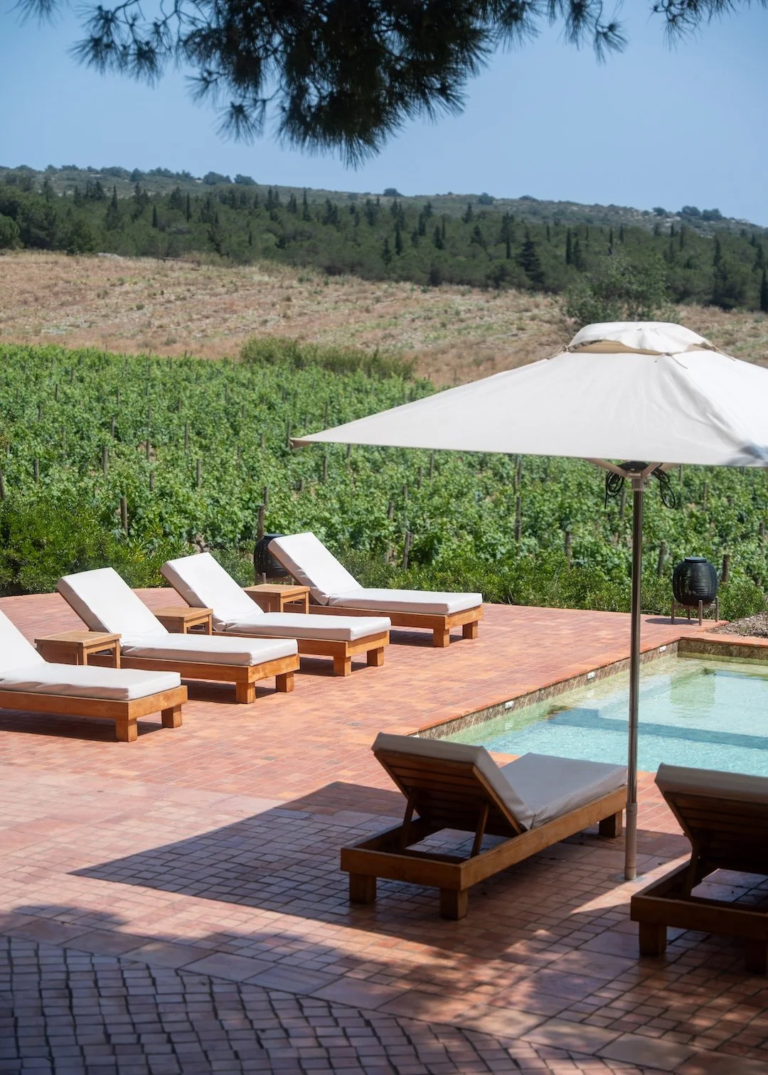 (c)MCHJLOUIS278 2.jpg