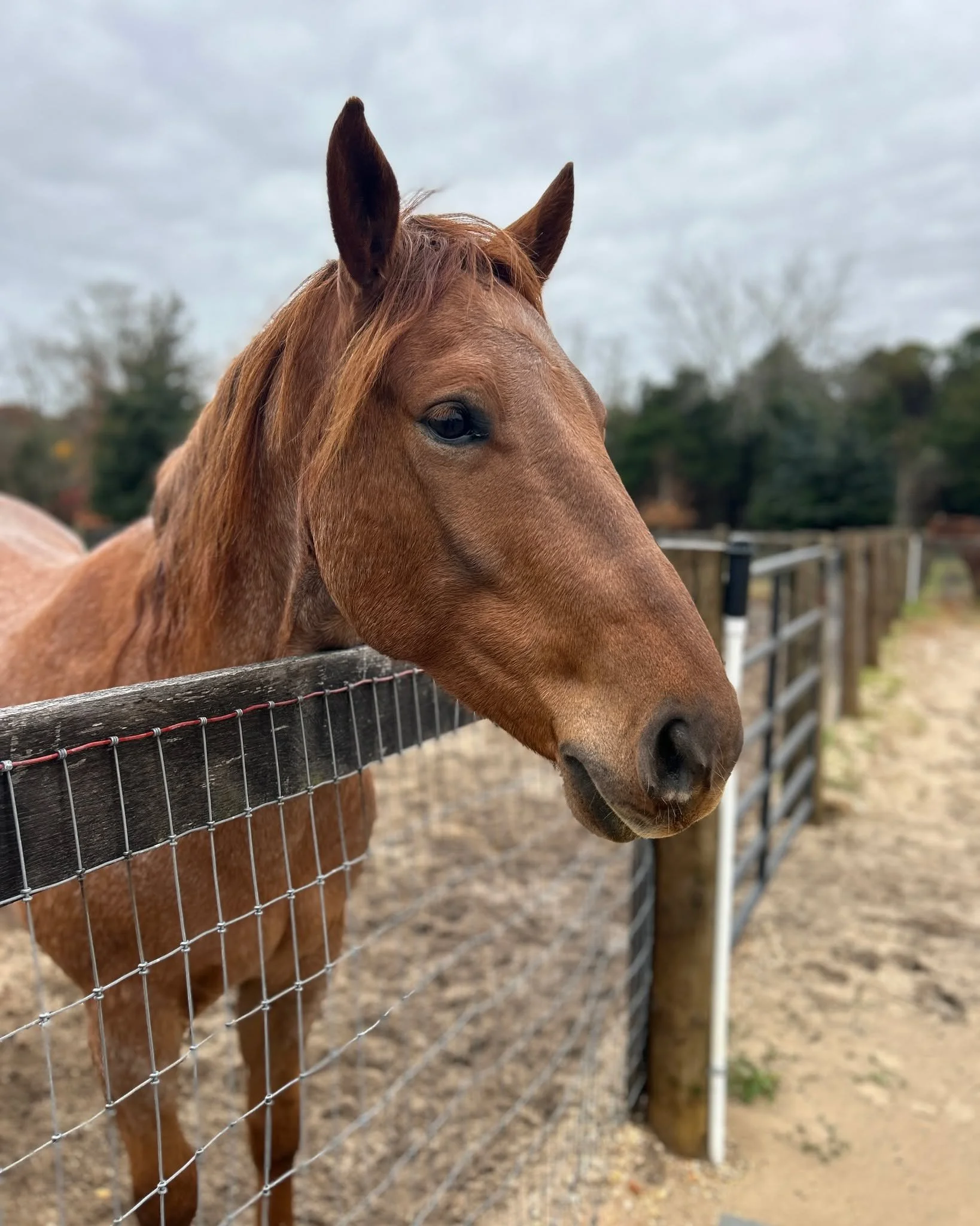 ❤️ The family behind The Farm still finds time to enjoy it the way our couples do, but instead of &ldquo;I dos,&rdquo; they&rsquo;re picking apples, riding horses, and relaxing on slow afternoons. Swipe through this little behind-the-scenes slice of 