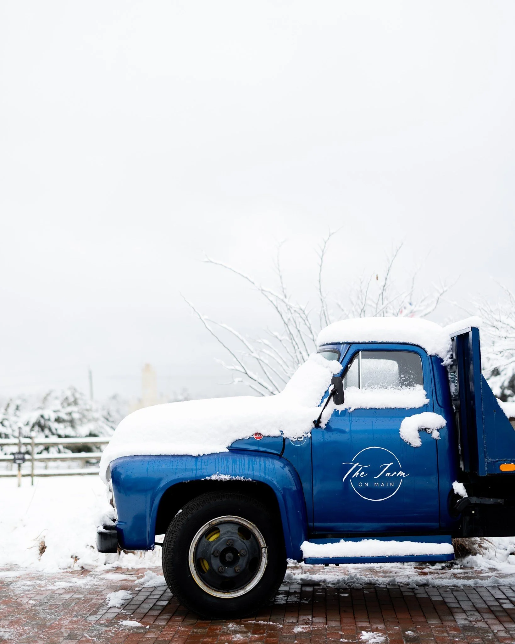 ❄️ Winter officially starts today, but last weekend beat it to the punch! Huge thanks to @anncoenstudio for capturing The Farm in full snow-day mode.

📸 @carlysullivanphoto