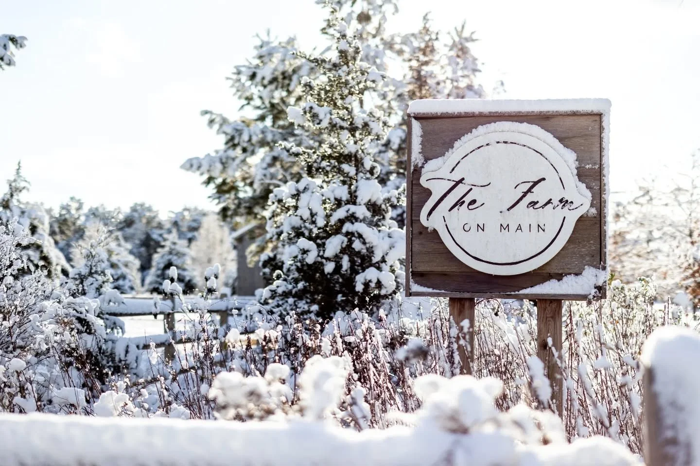 🌨️ All this snow today has us thinking back to last month! Here are a few of our favorite corners of the property, all dressed in winter white.

📸 Photographer | @carlysullivanphoto @anncoenstudio