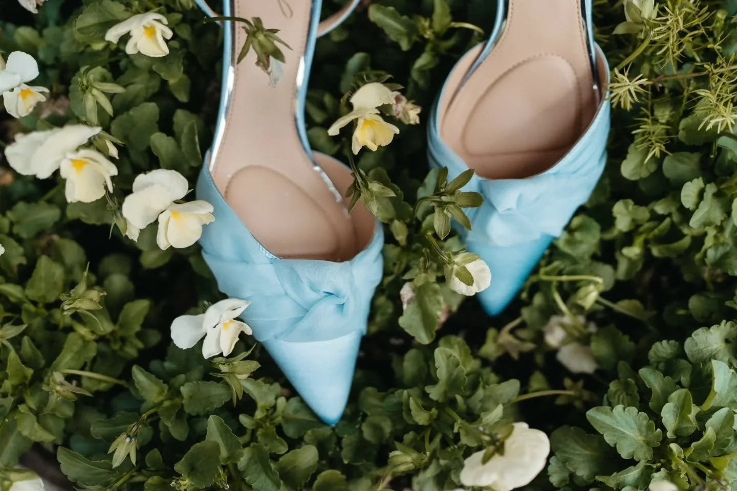 🔎 We love detail shots. We love them even more when photographers use actual pieces of the property itself! Figs from the tree outside The Farmhouse, grapes from the vines at The Starlight Barn, and flowers from the floral fountain near The Greenhou