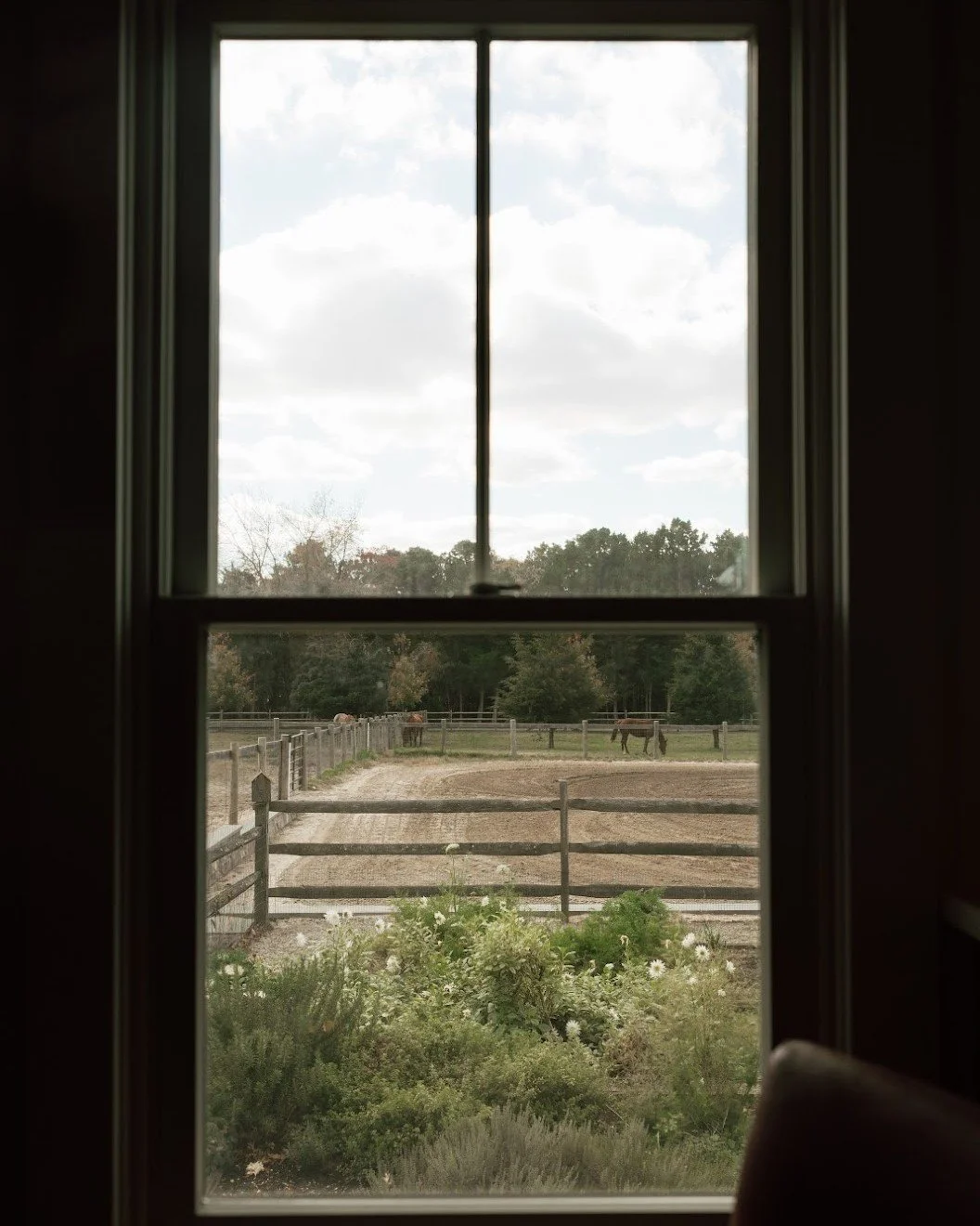 🪟 The view from a Farmhouse window out to the horse paddock. We always love seeing how photographers capture the property in different ways, and we especially love these two shots.

📸 Photos | @rae.n.photography
