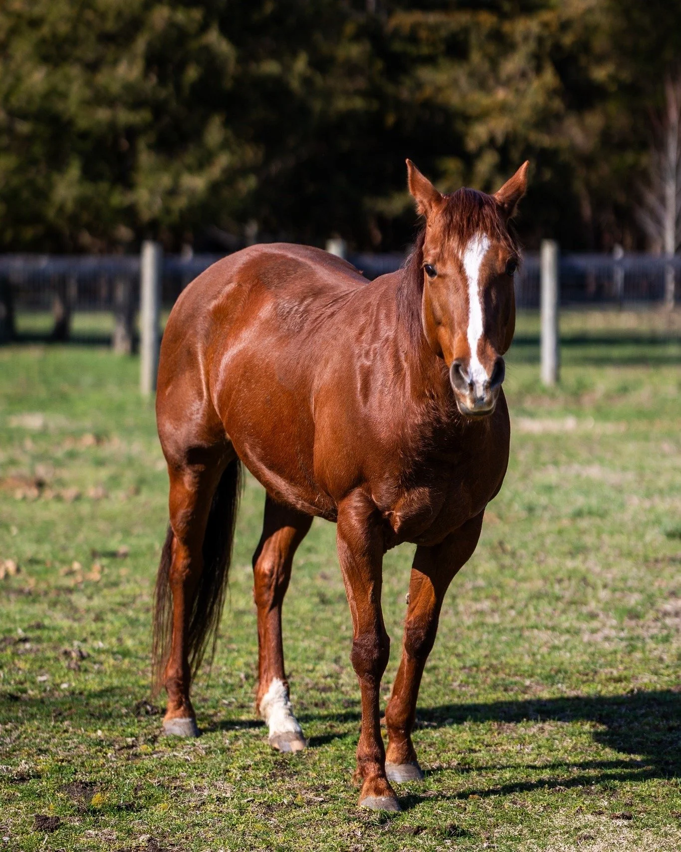 📢 The Farm On Main is hiring! 📢

🐴 We&rsquo;re looking for a Farm Hand to join our team this summer. If your ideal day involves horses, fresh air, farm work, and being outside instead of behind a desk, this job is for you!

We&rsquo;re looking for