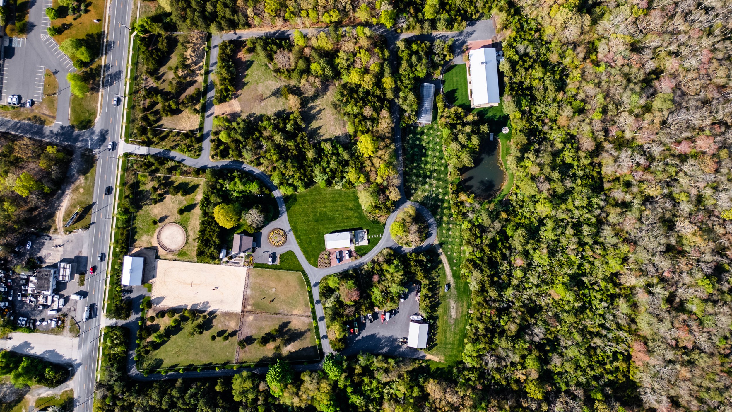 SpringFarm-654.jpg