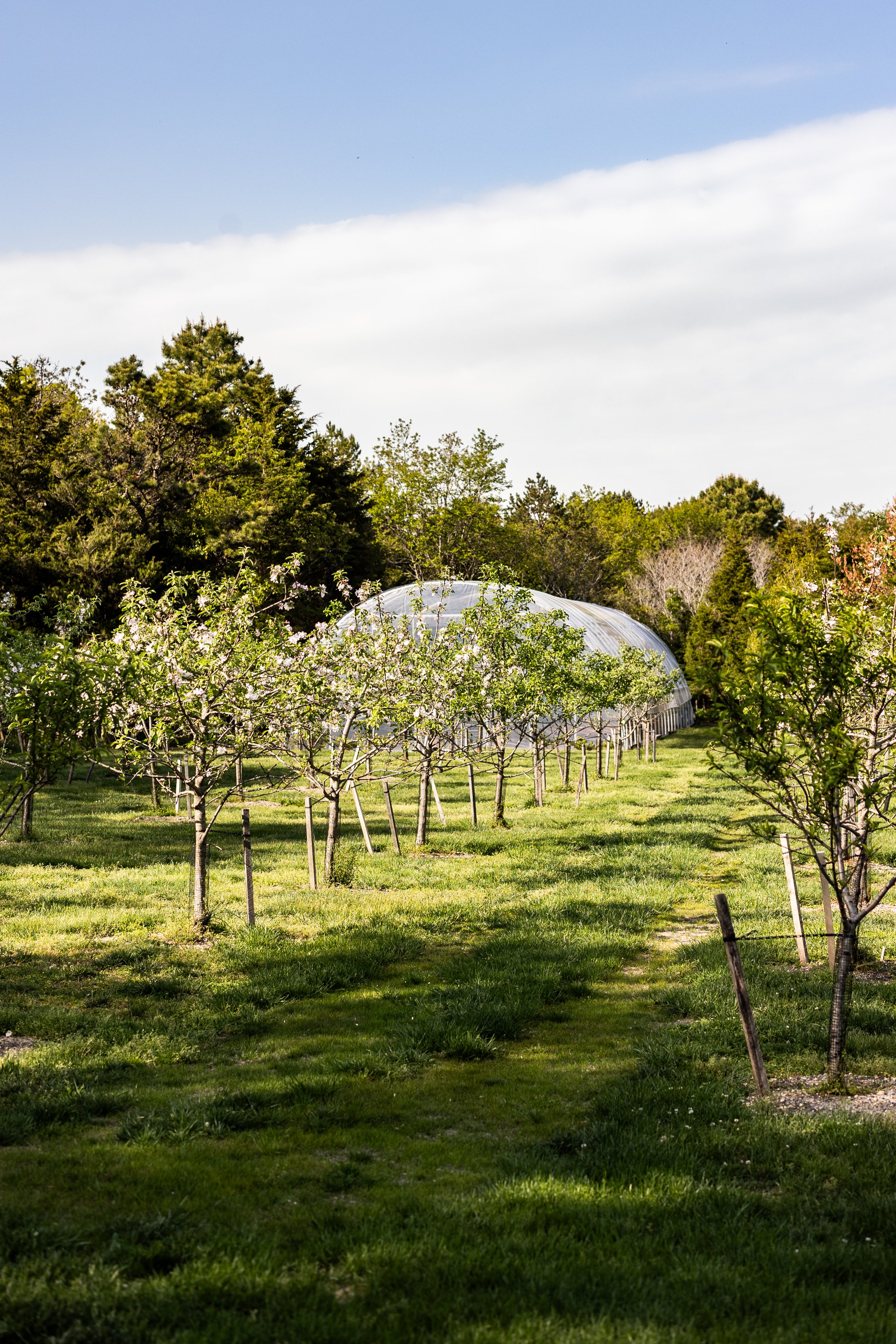 SpringFarm-576.jpg