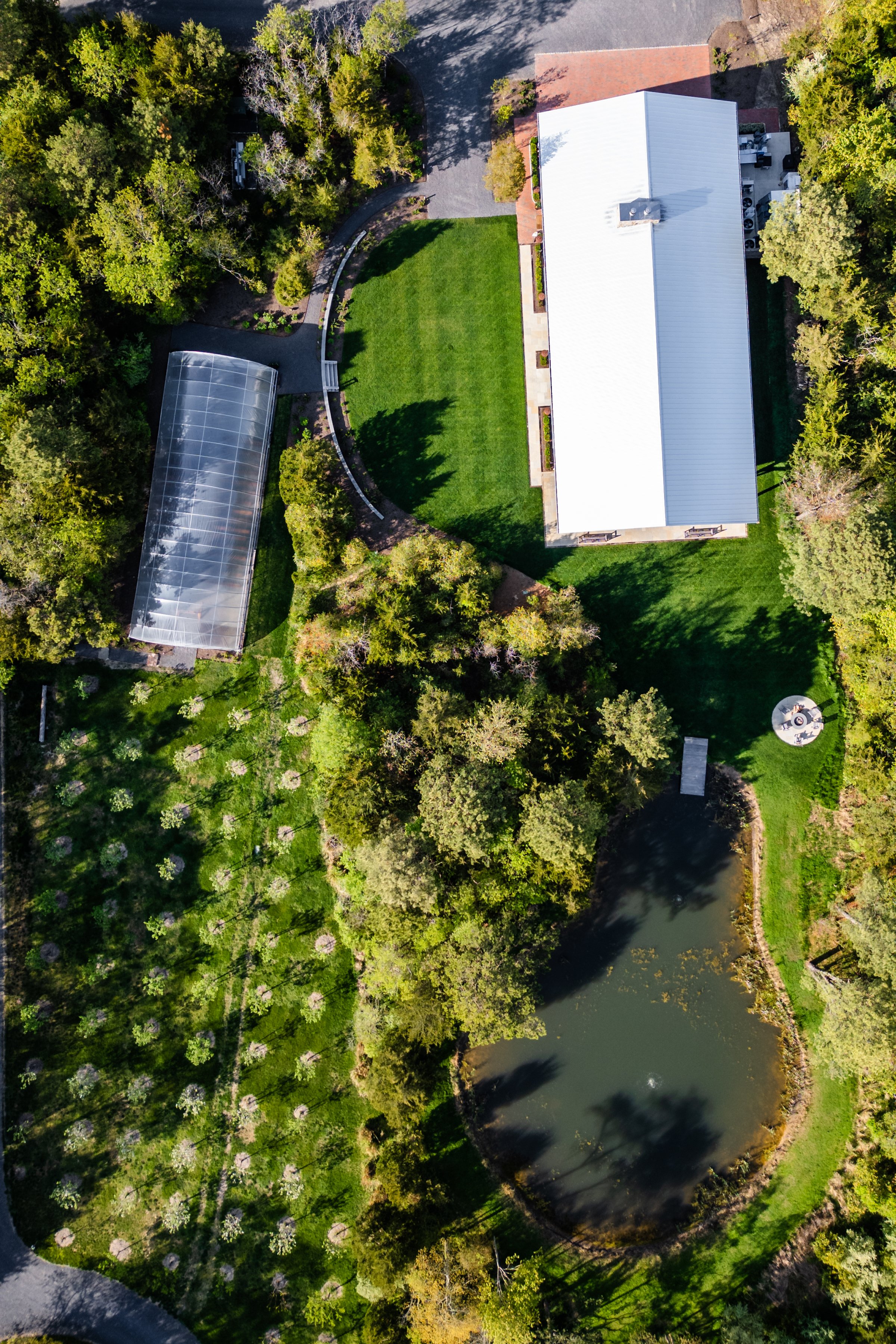 SpringFarm-659.jpg