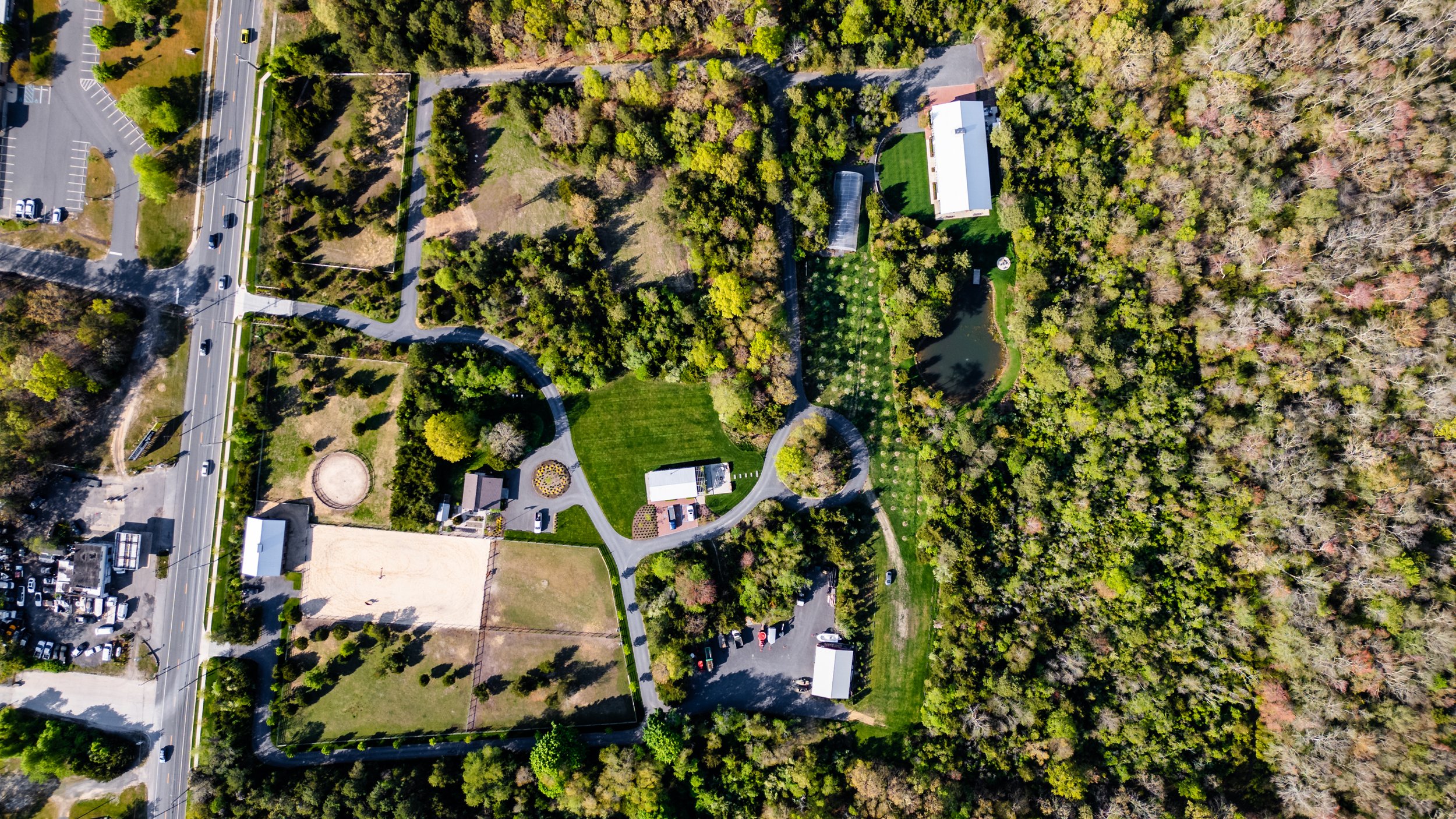 SpringFarm-653.jpg