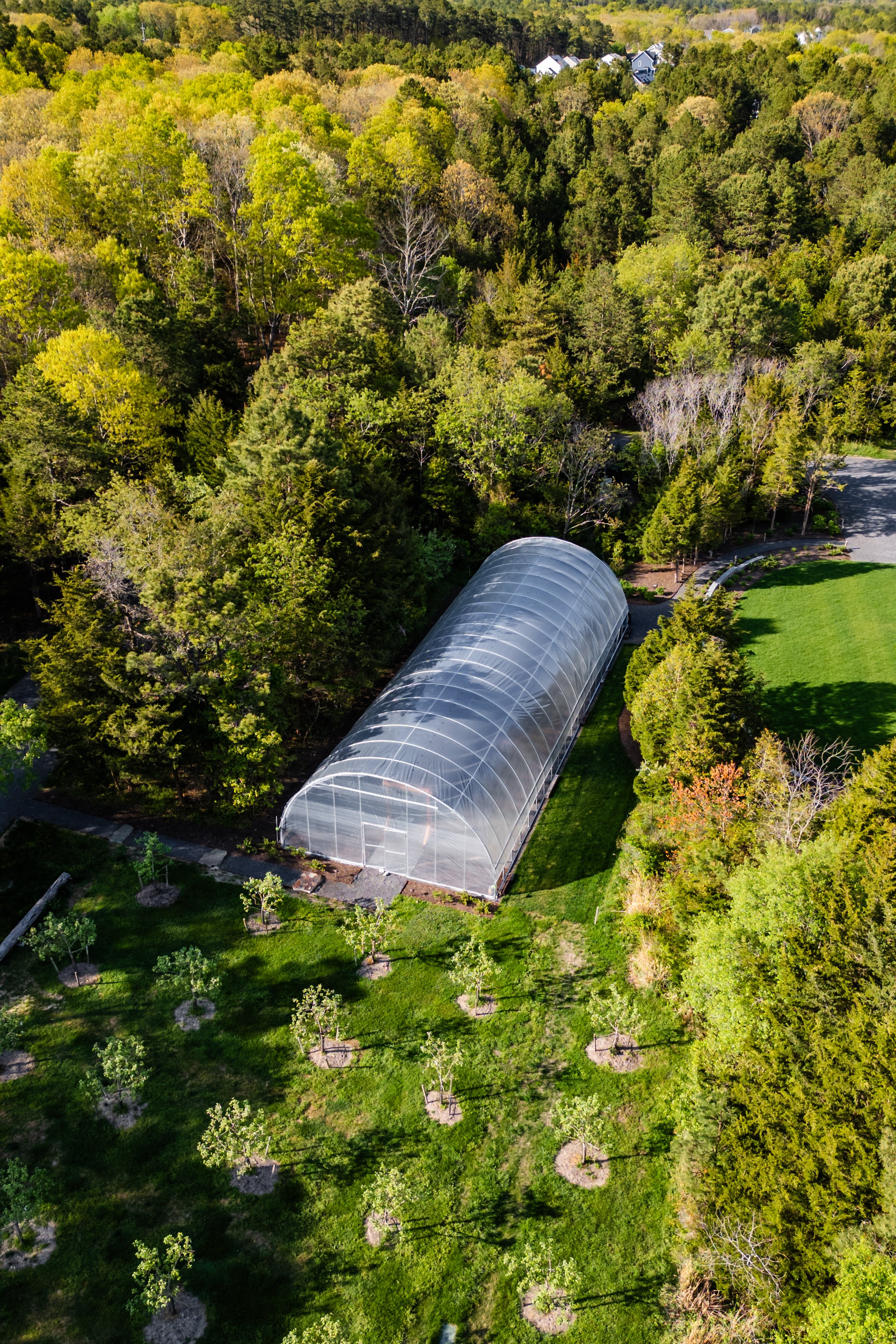 SpringFarm-661.jpg