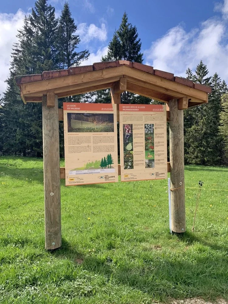 ede lisiere.jpg
