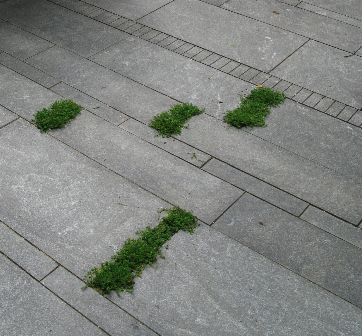 Paving Detail