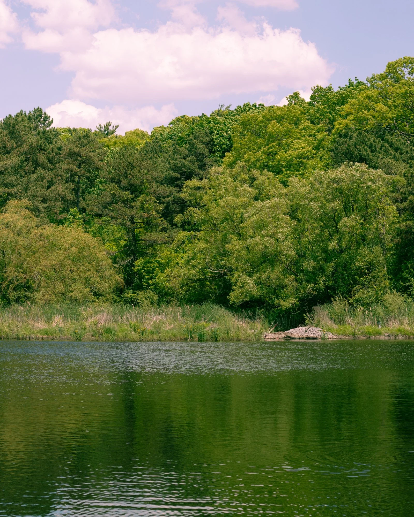 210601_ts-5.jpg