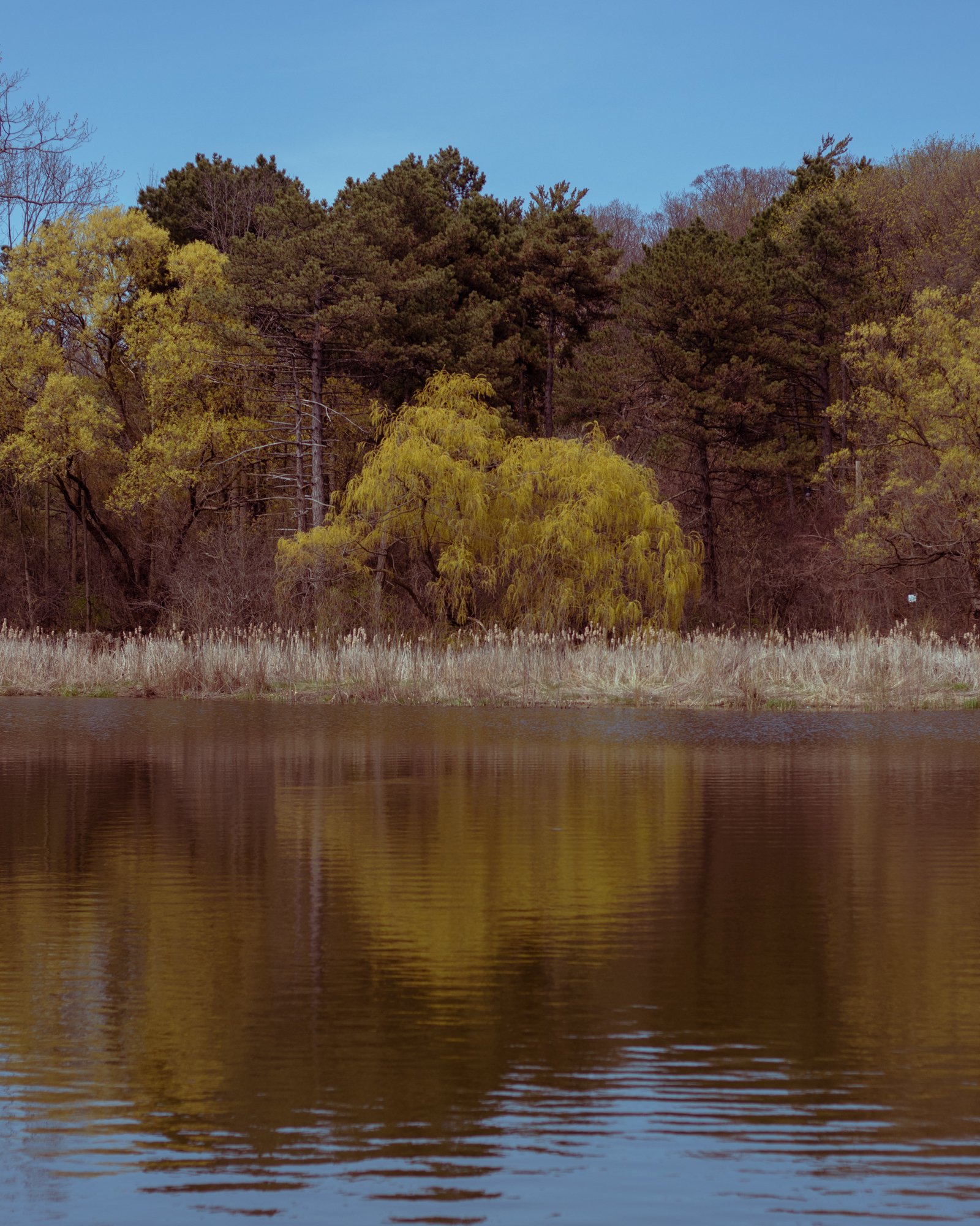 210426_ts-4.jpg
