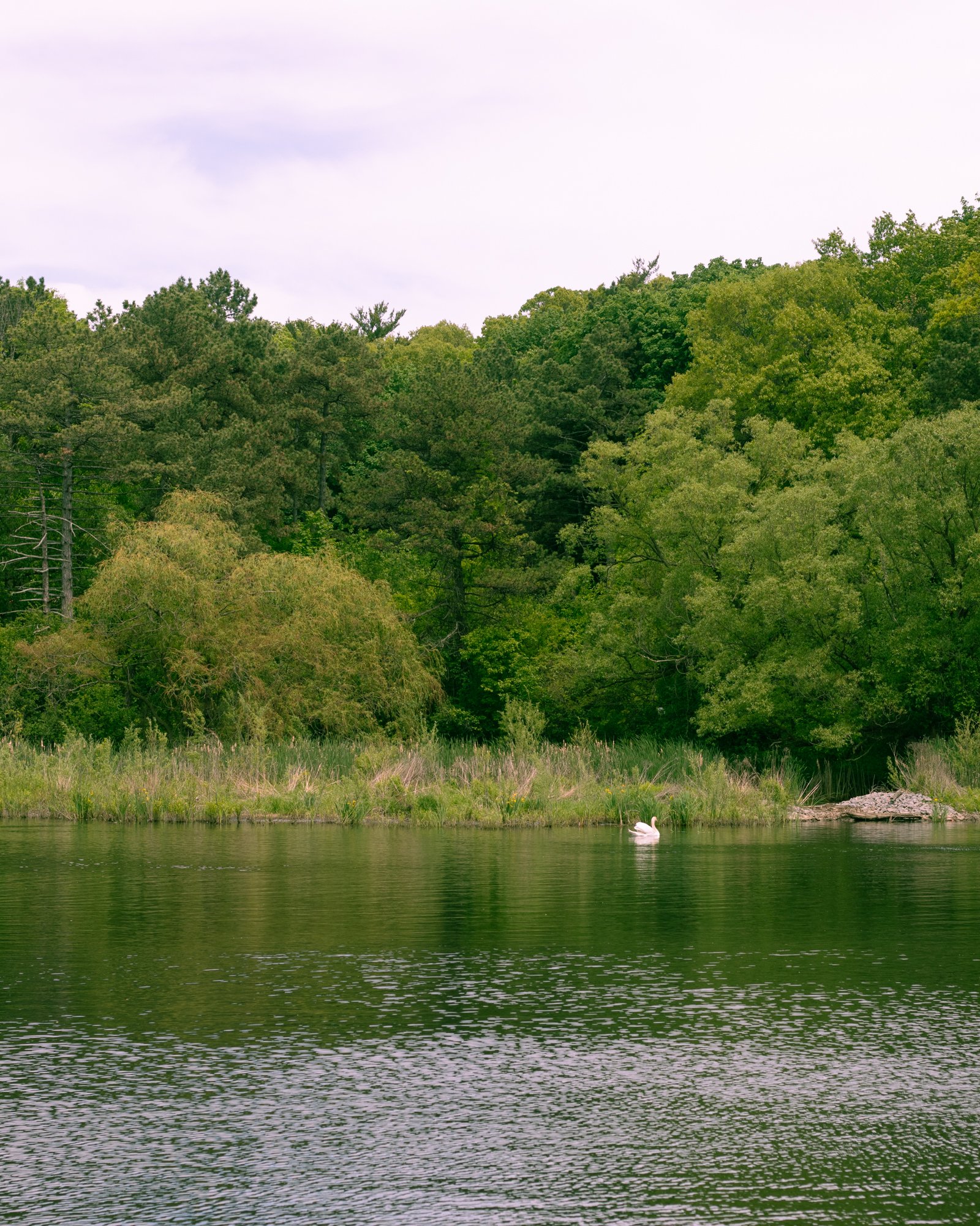 210529_ts-3.jpg