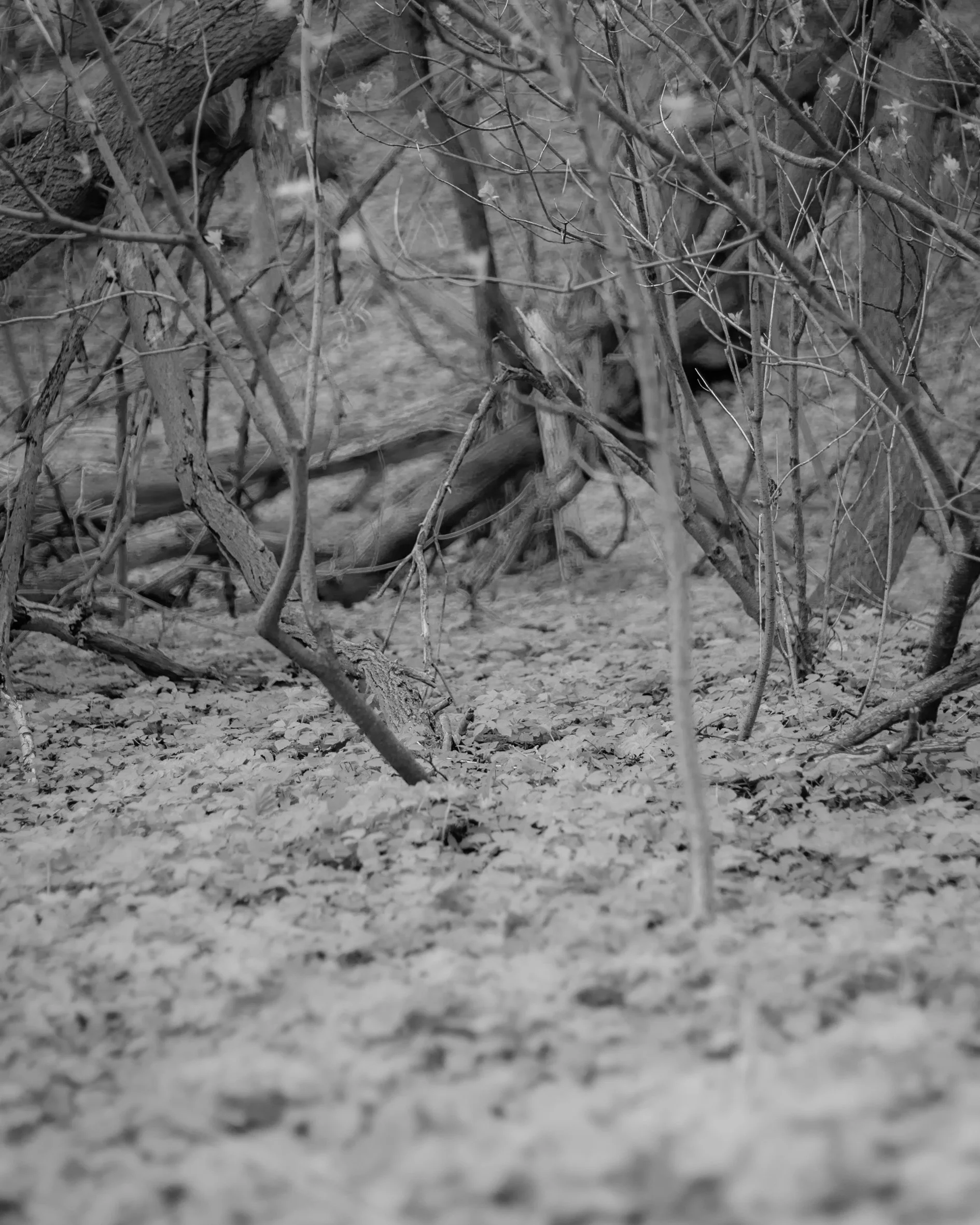 210417_ts-7.jpg