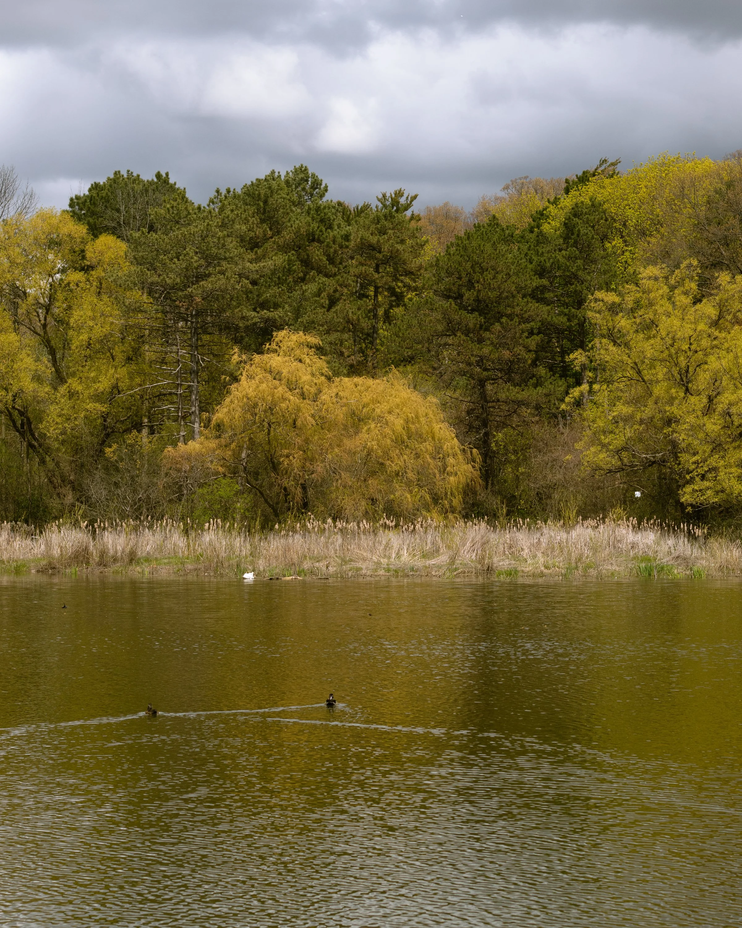 210510_ts-2.jpg