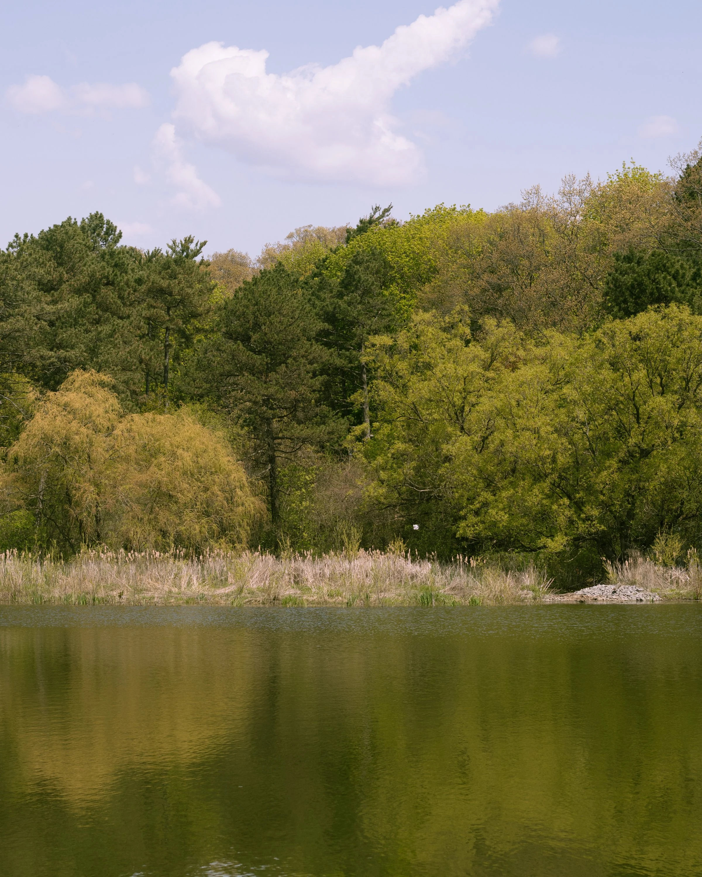 210515_ts-4.jpg