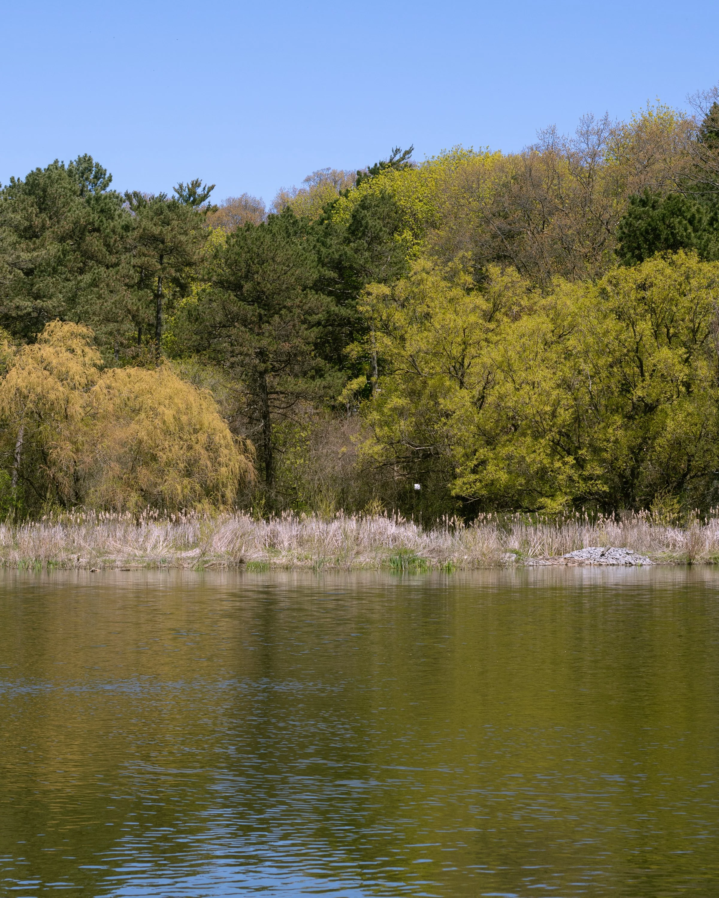 210512_ts-2.jpg
