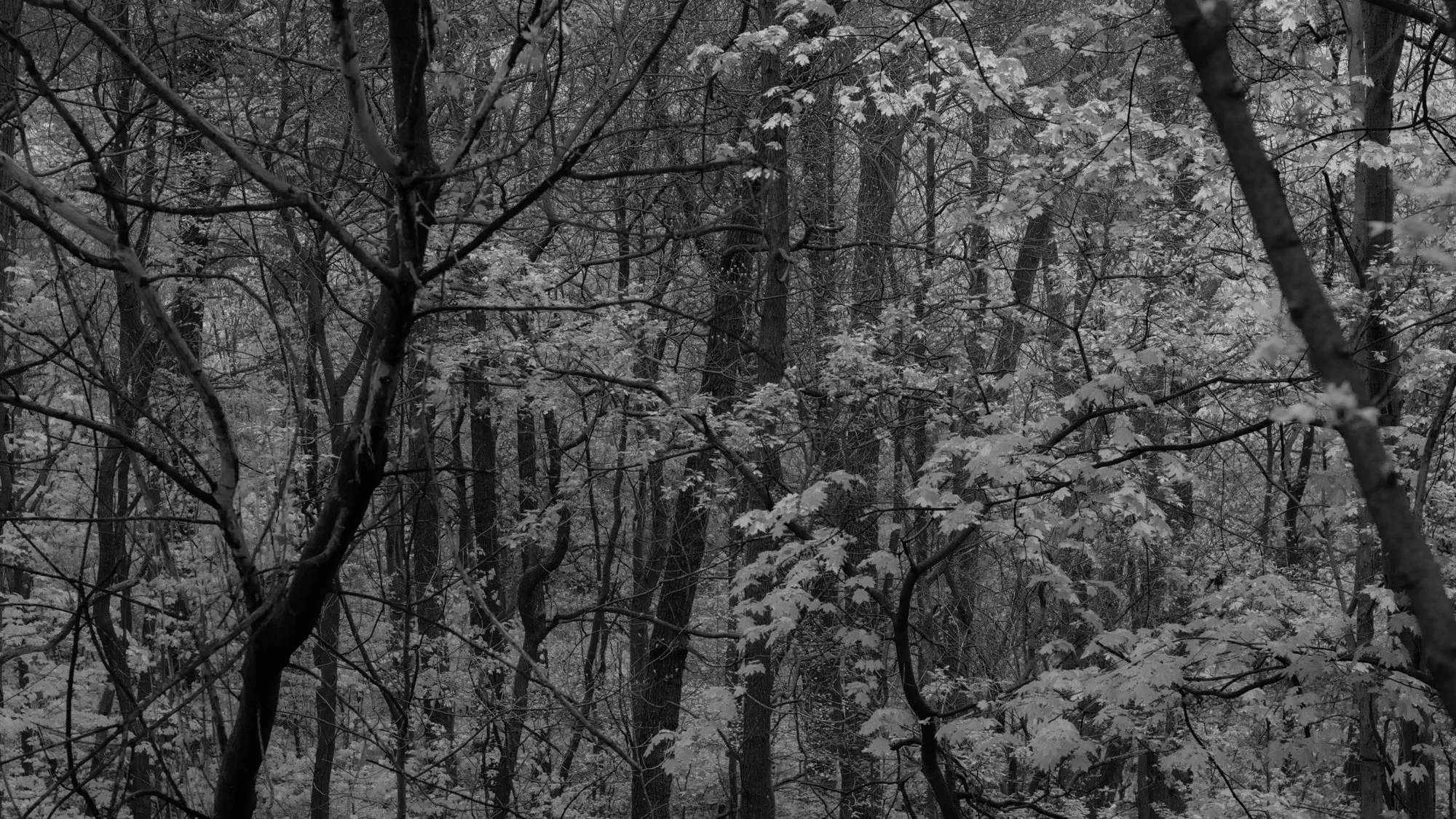210507_ts-12-2.jpg