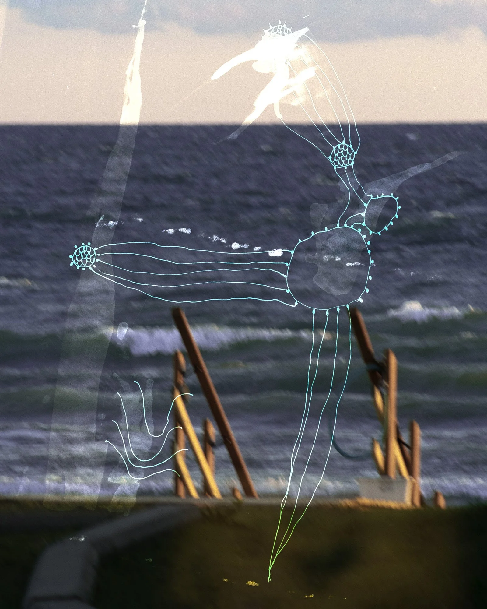 210912_ts-26-Edit.jpg