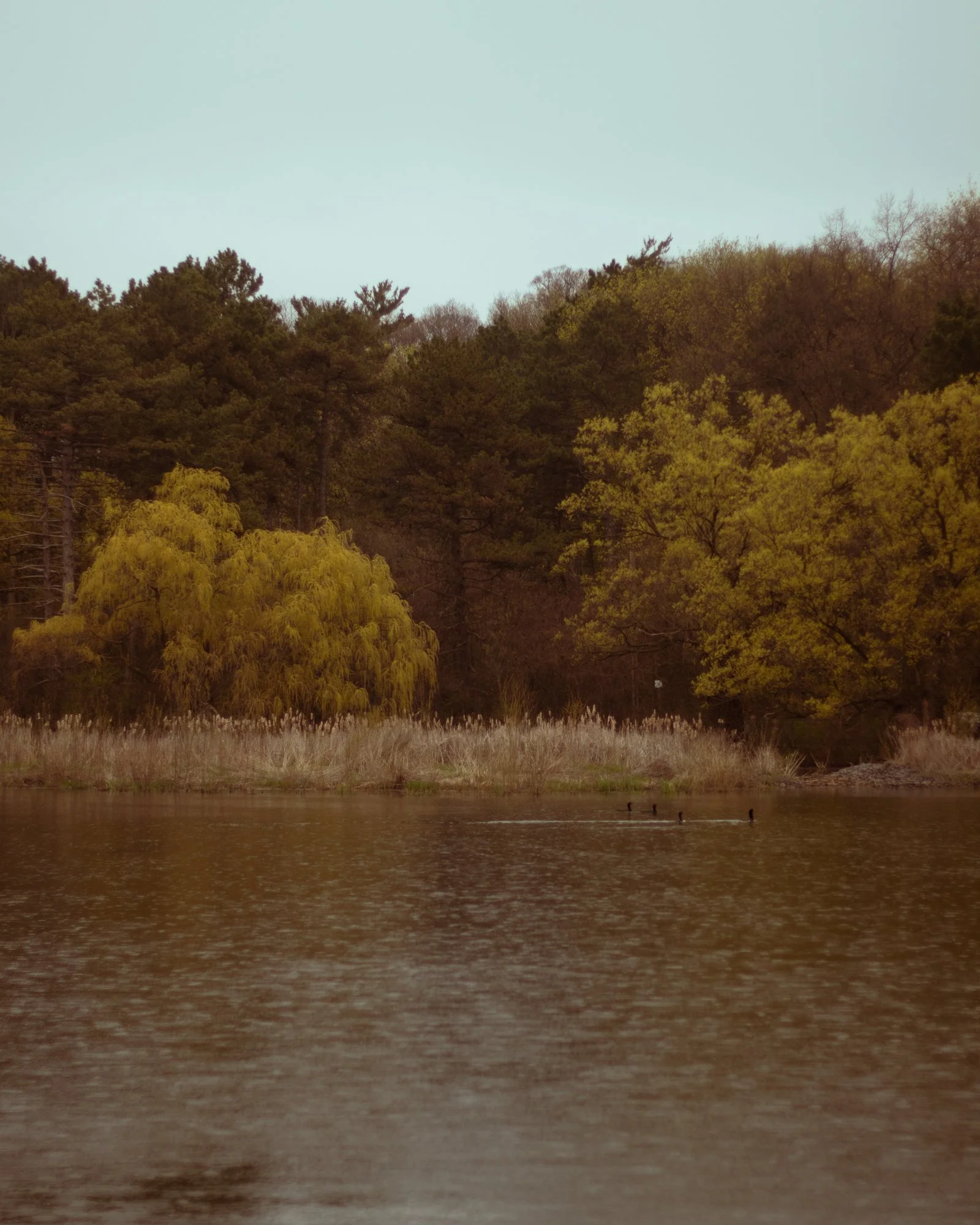210429_ts-2.jpg