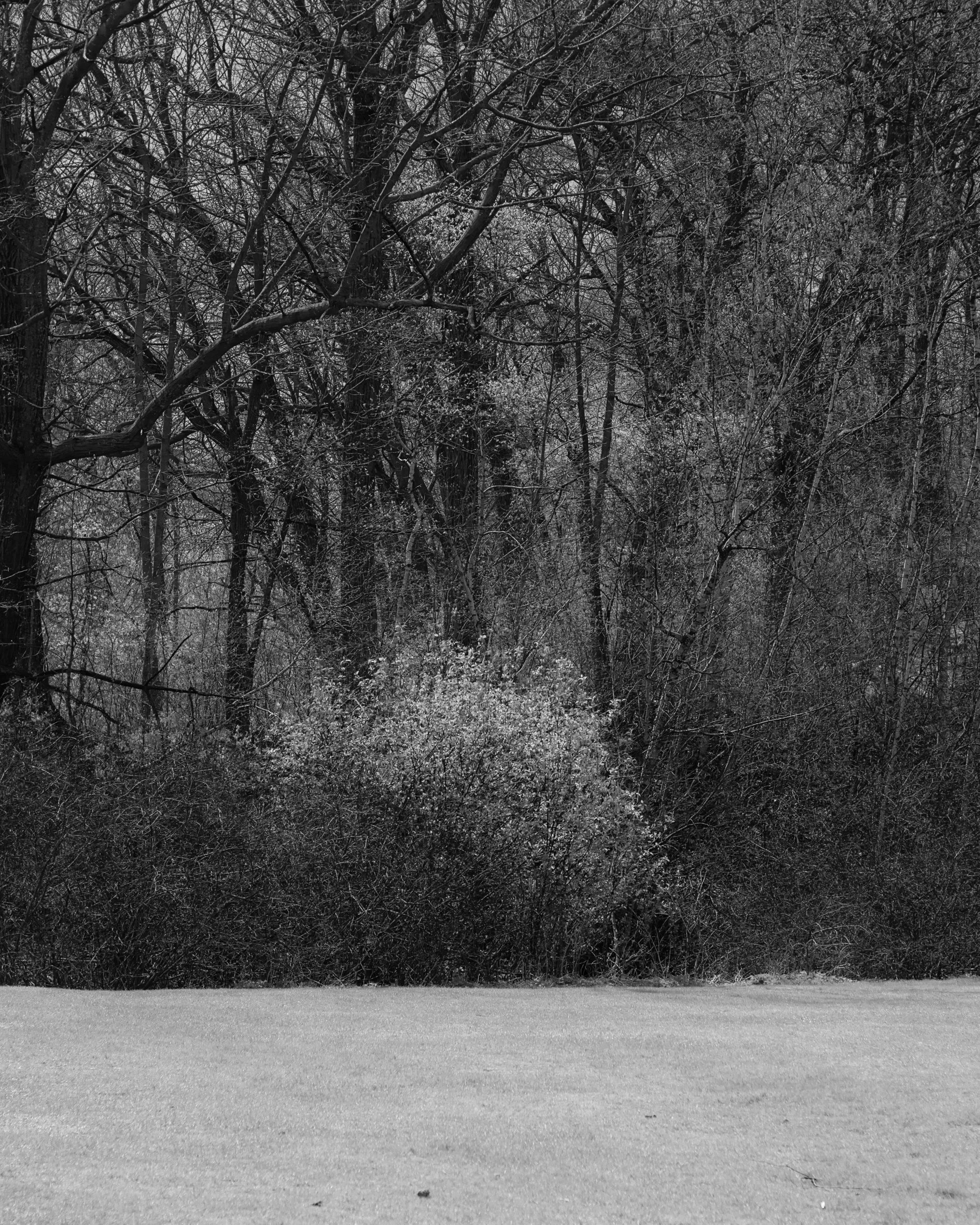 210426_ts-7.jpg