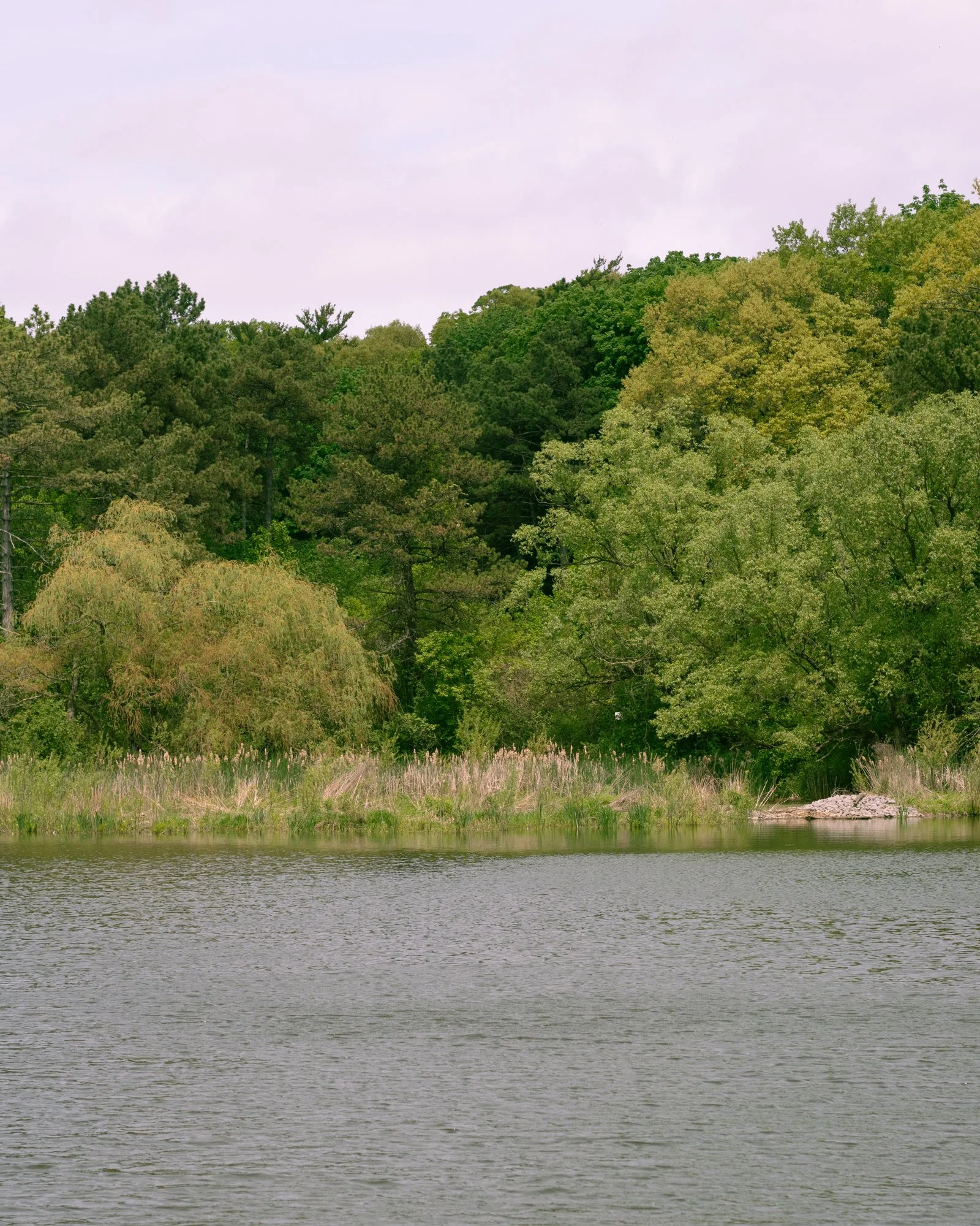 210523_ts.jpg