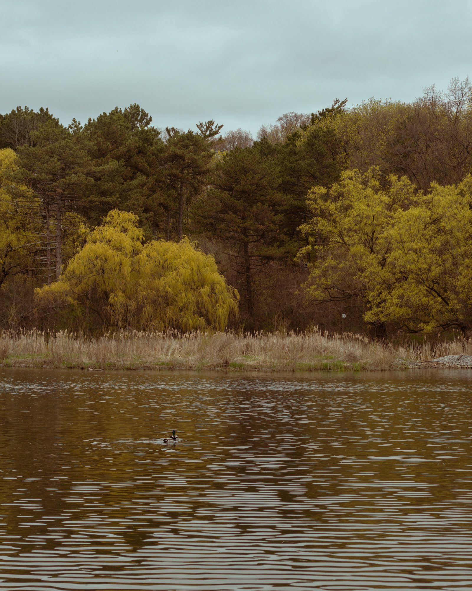 210430_ts-4.jpg