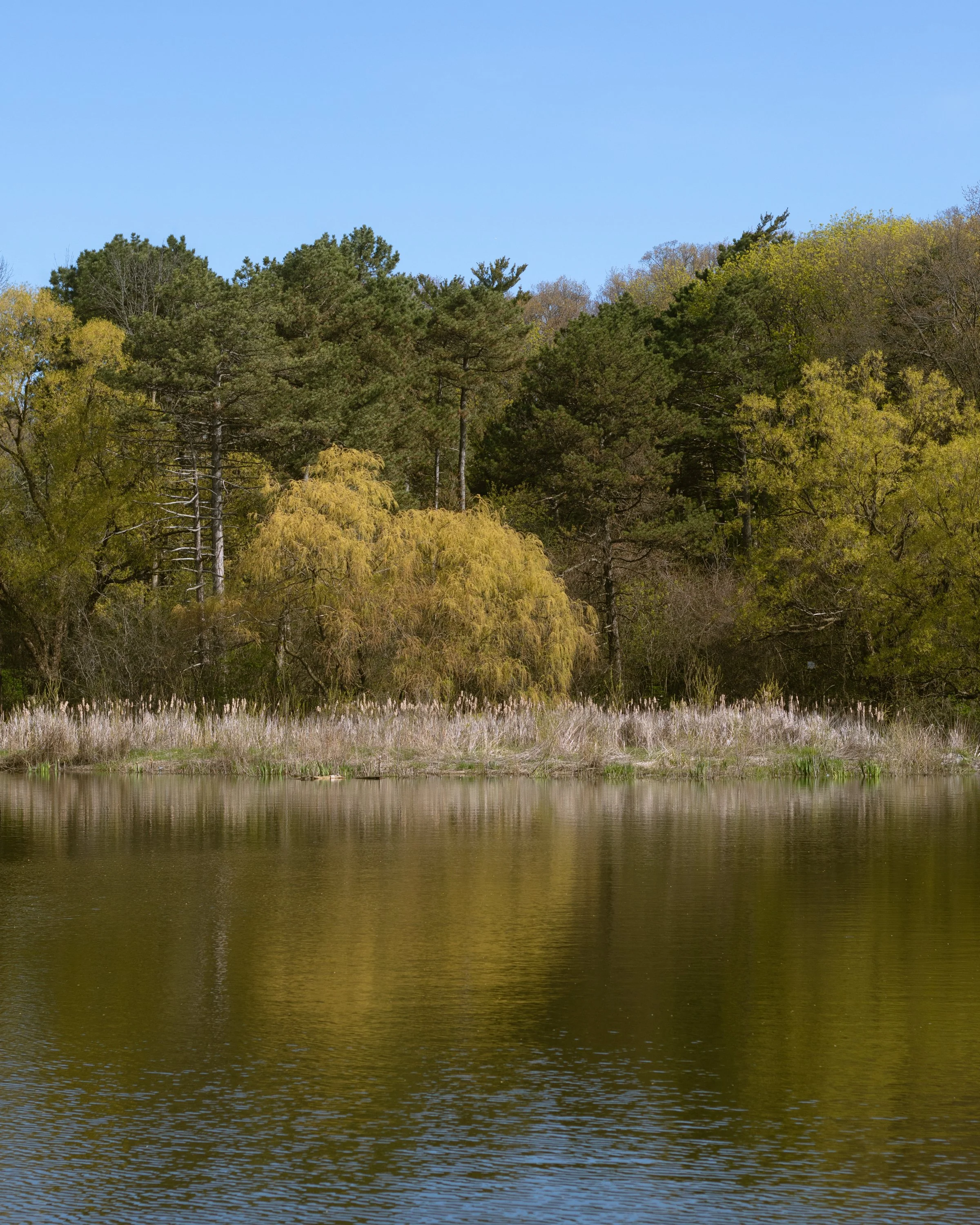 210508_ts-13.jpg