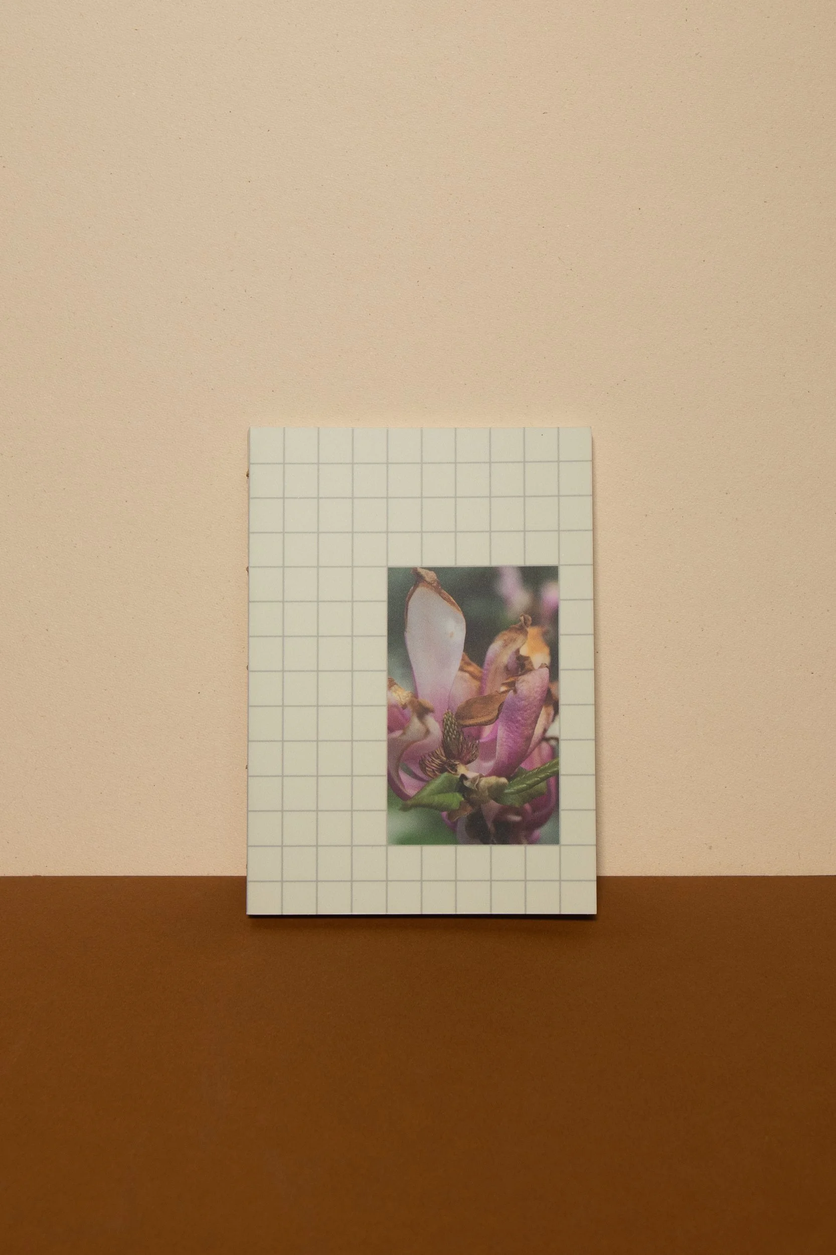 Magnolia