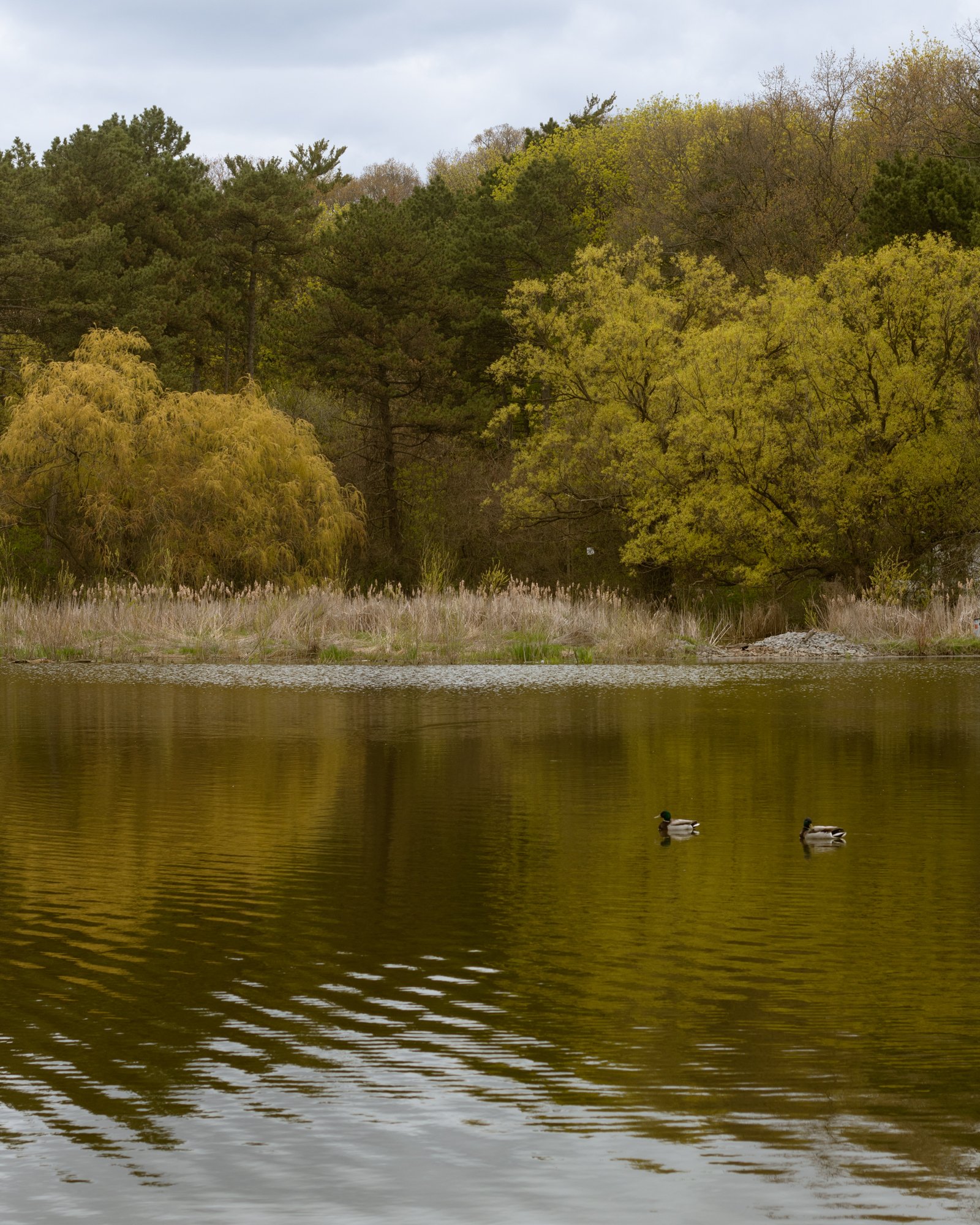 210507_ts-6.jpg
