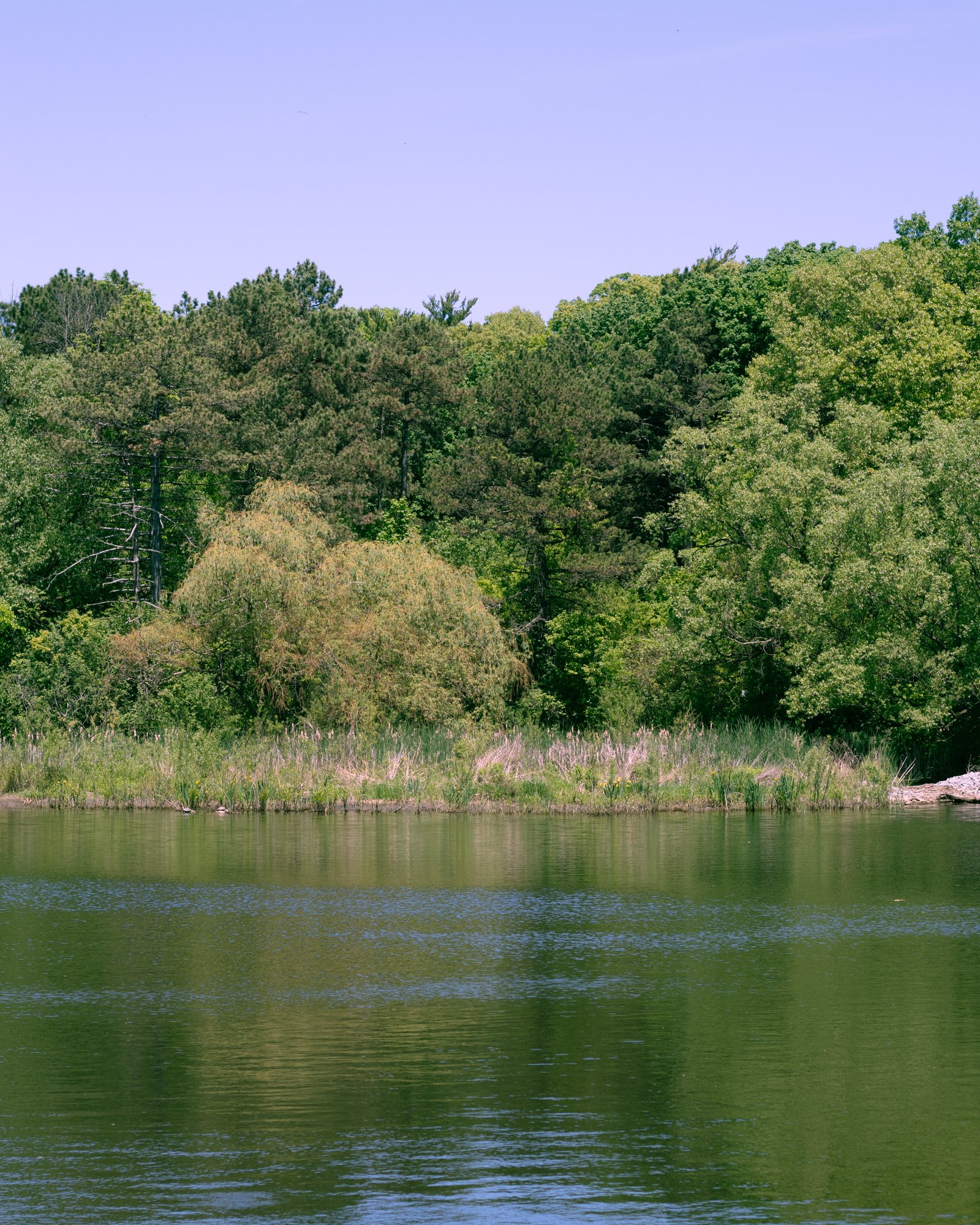 210527_ts-2.jpg