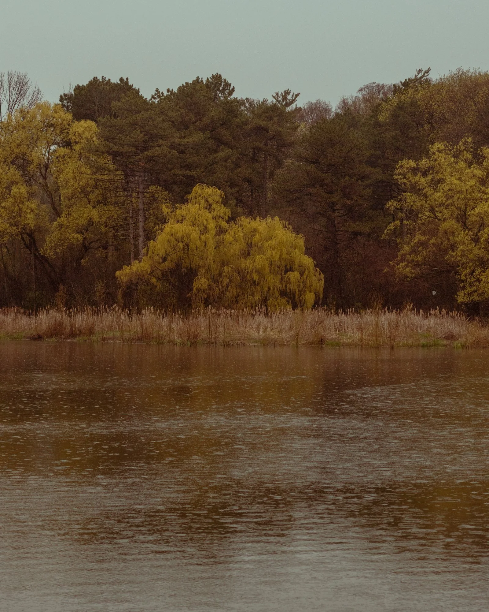 210428_ts-9.jpg