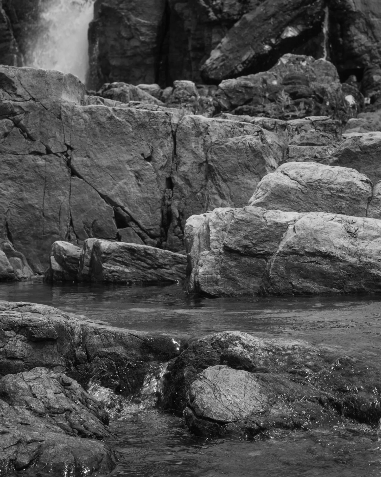 chapada_191111_ts-127.jpg