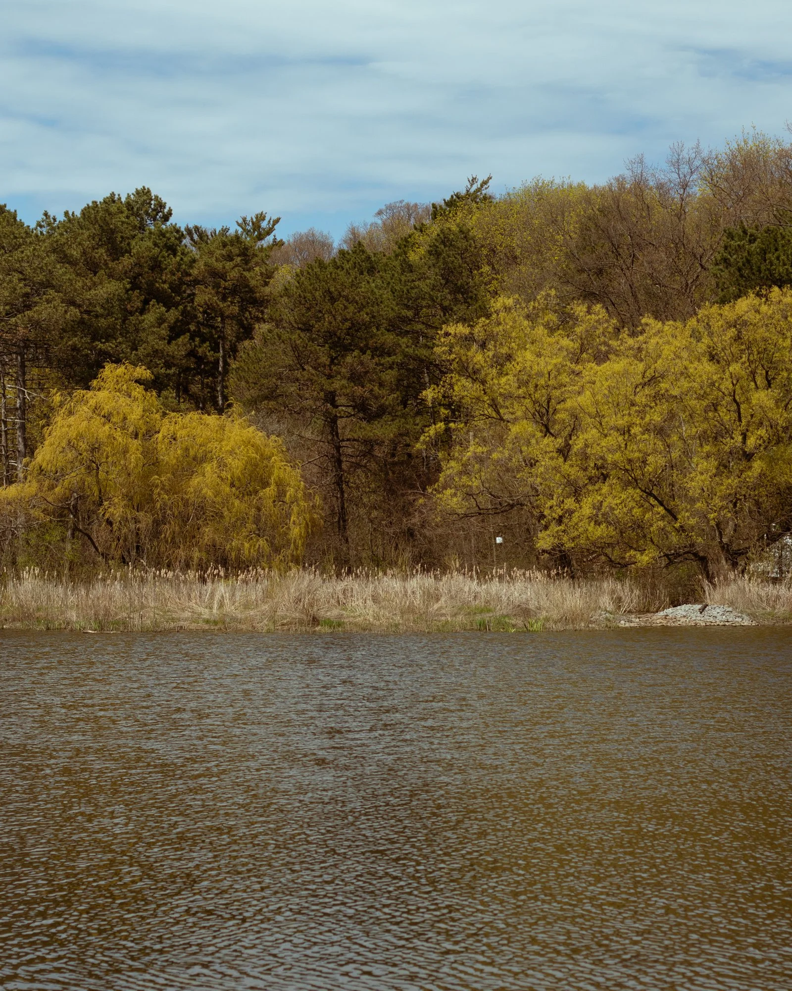 210501_ts-4.jpg