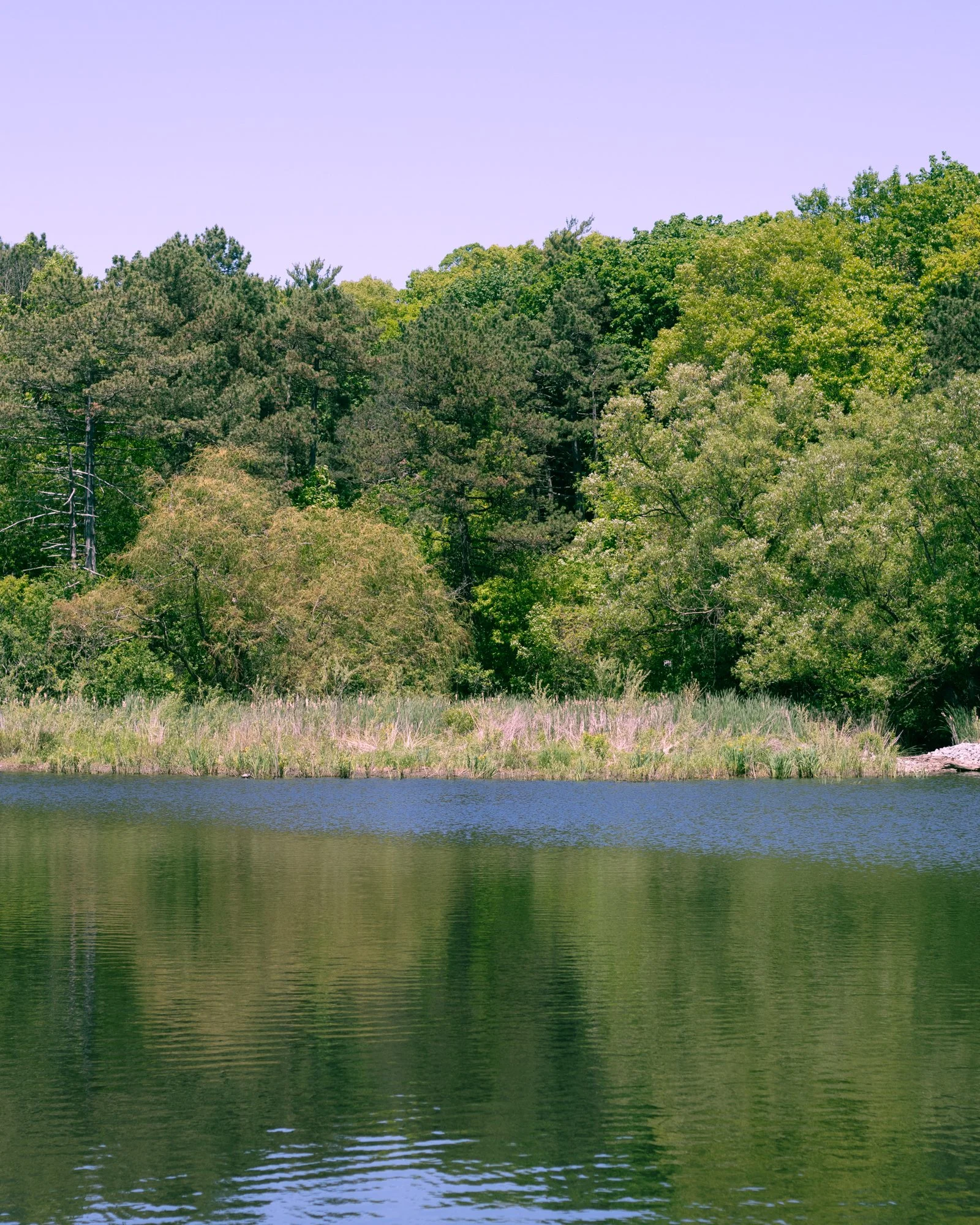 210530_ts-9.jpg