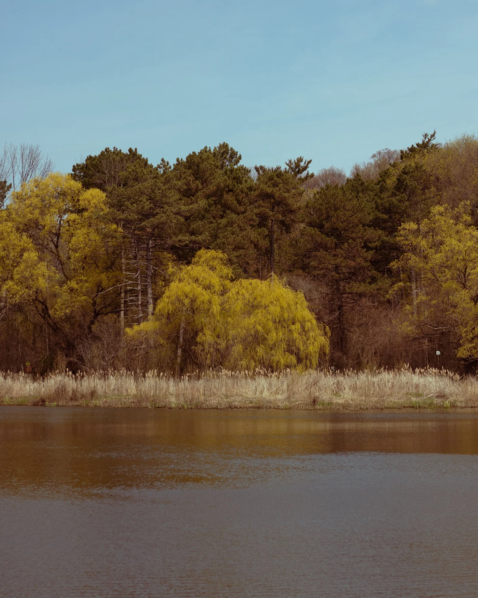 210427_ts-2.jpg
