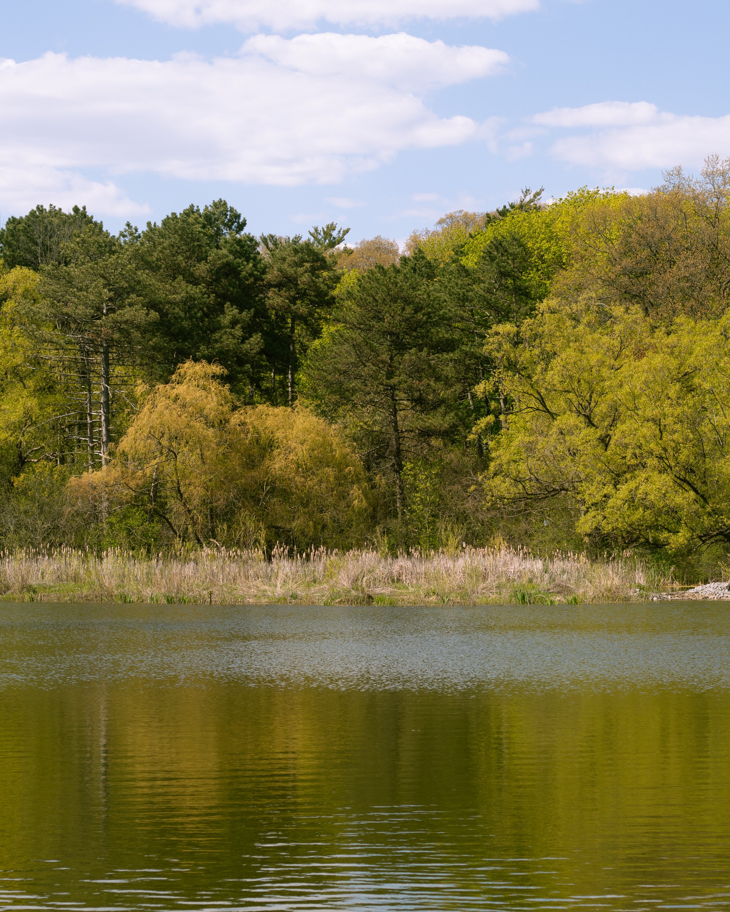 210514_ts-2.jpg