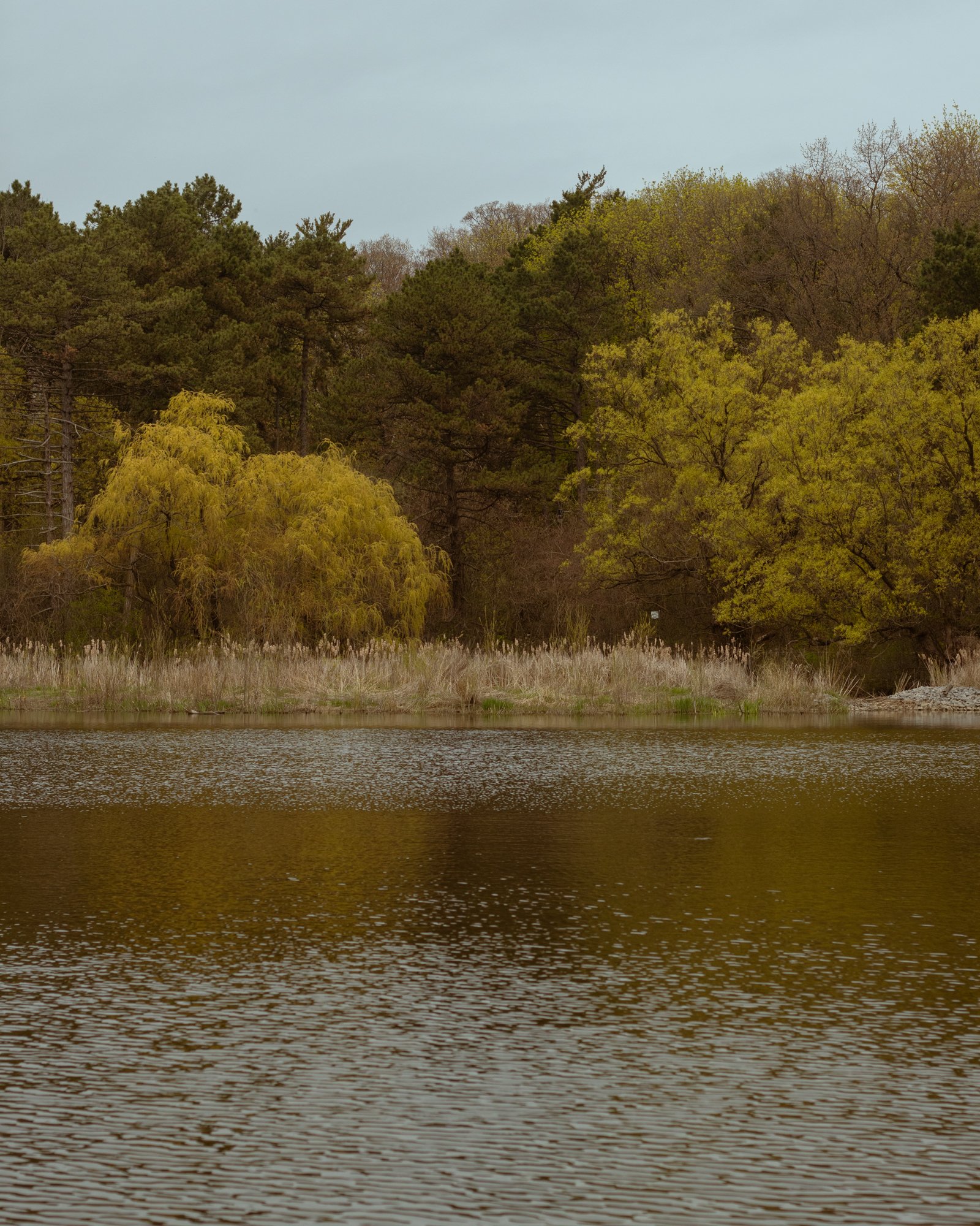 210503_ts-3.jpg