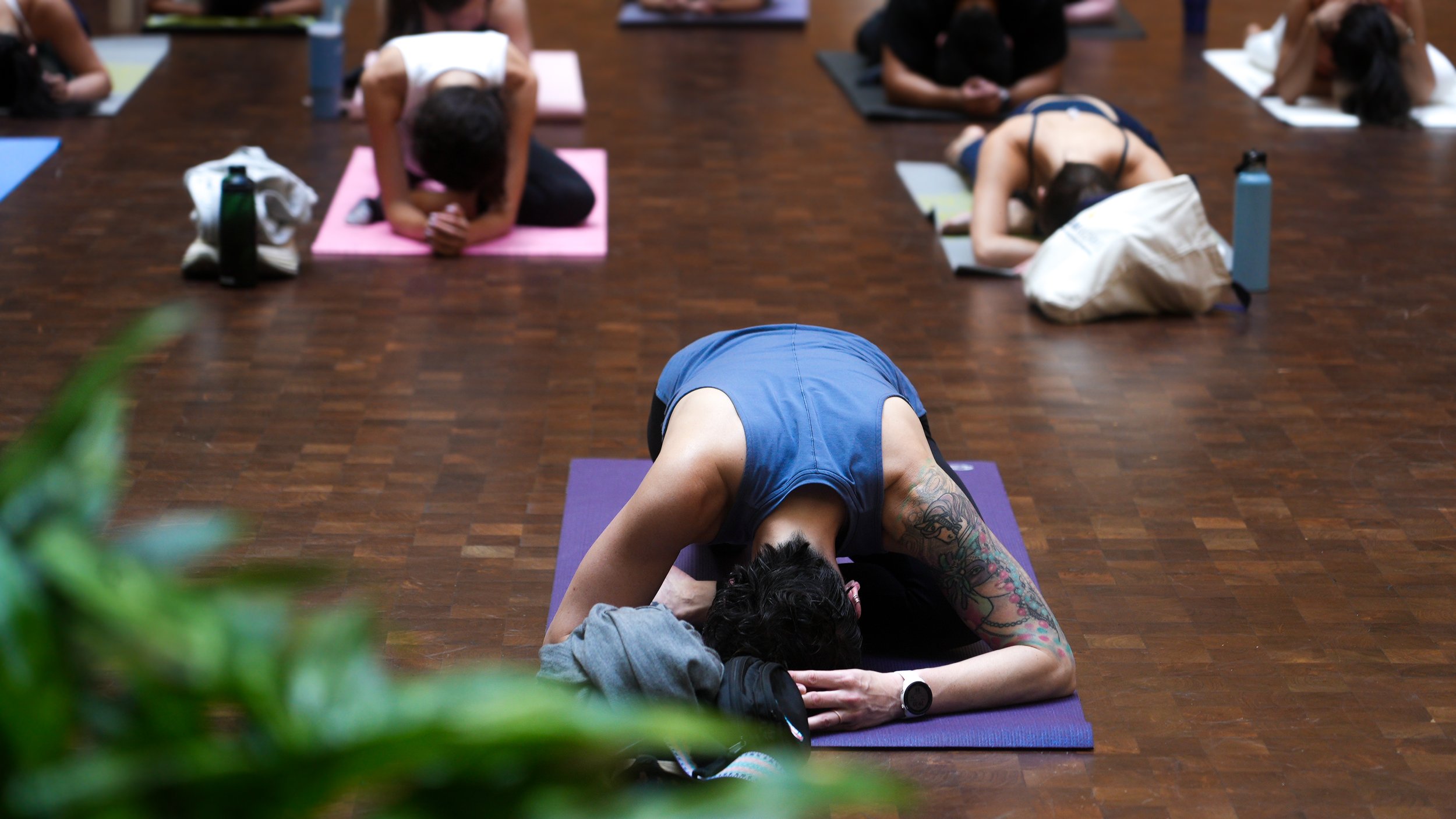 cpyoga139.jpg