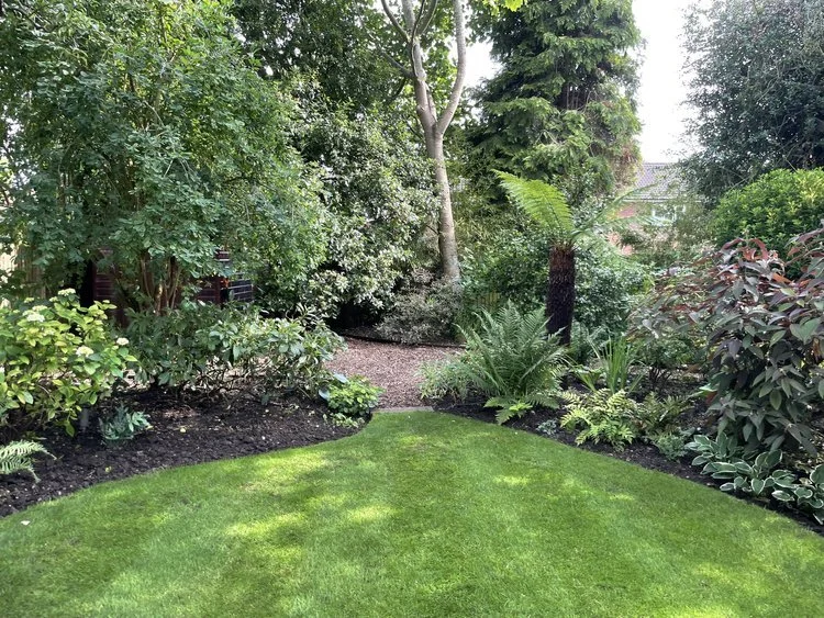 Garden Rescue 1.jpeg