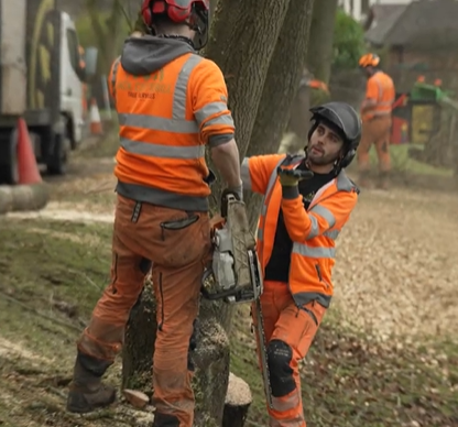 Turning Every Day Work into Teaching Moments at Jack Cotterill Tree Services