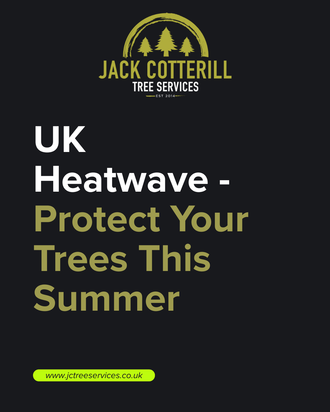 UK Heatwave: Protect Your Trees This Summer