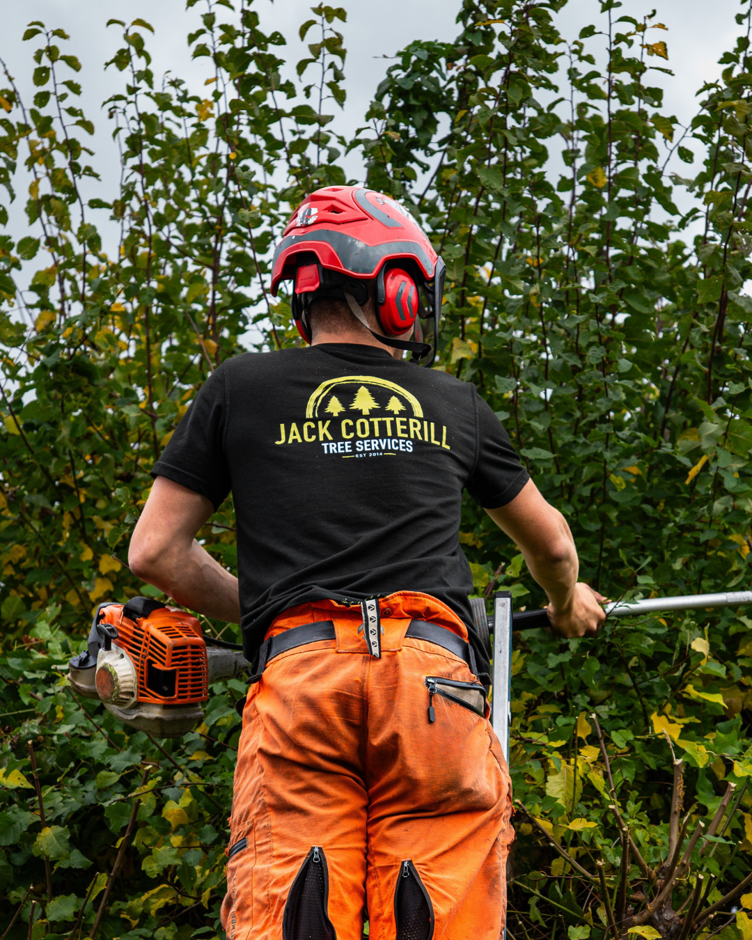 Hedge Trimming: September, 2026