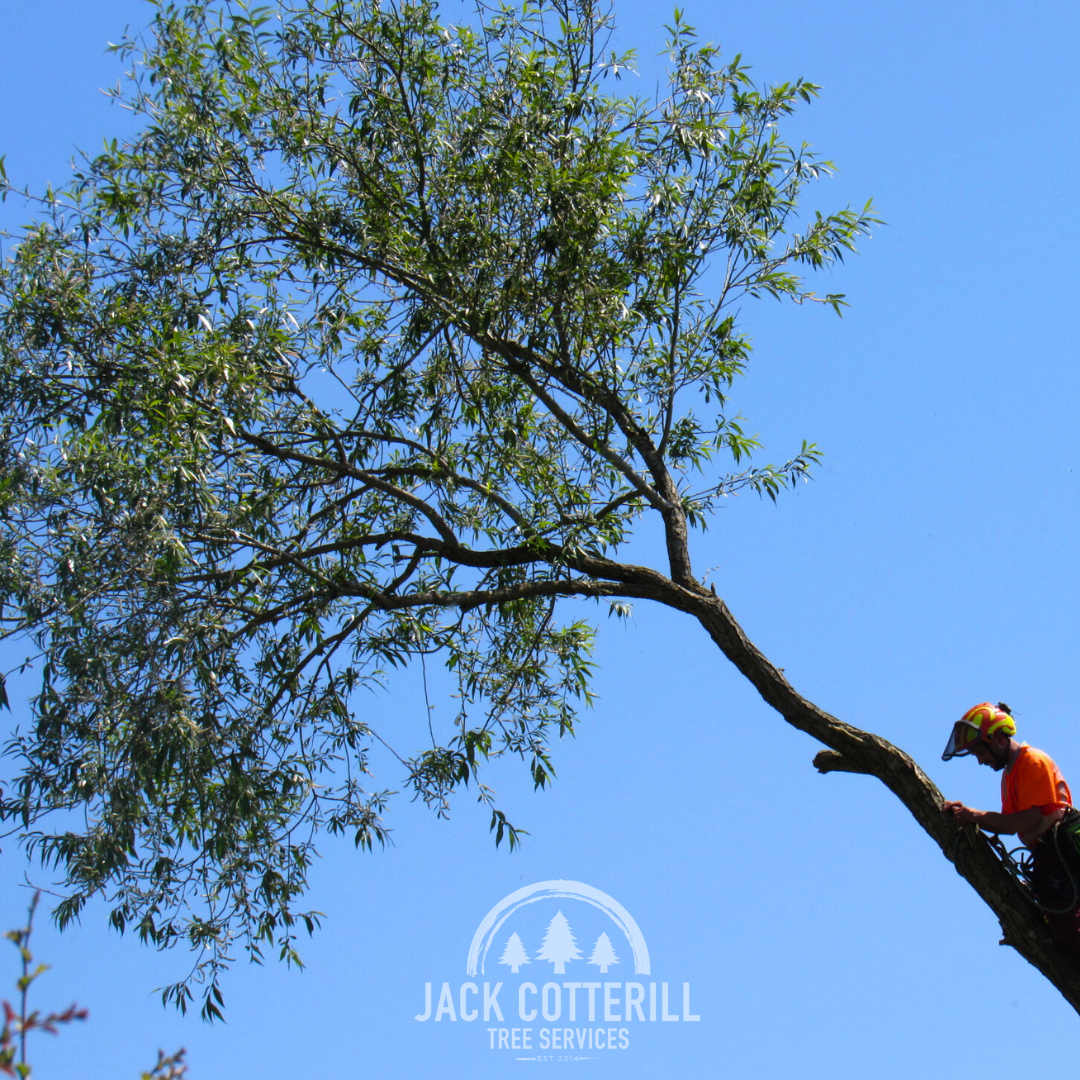 Instagram Post 220525 (1).png